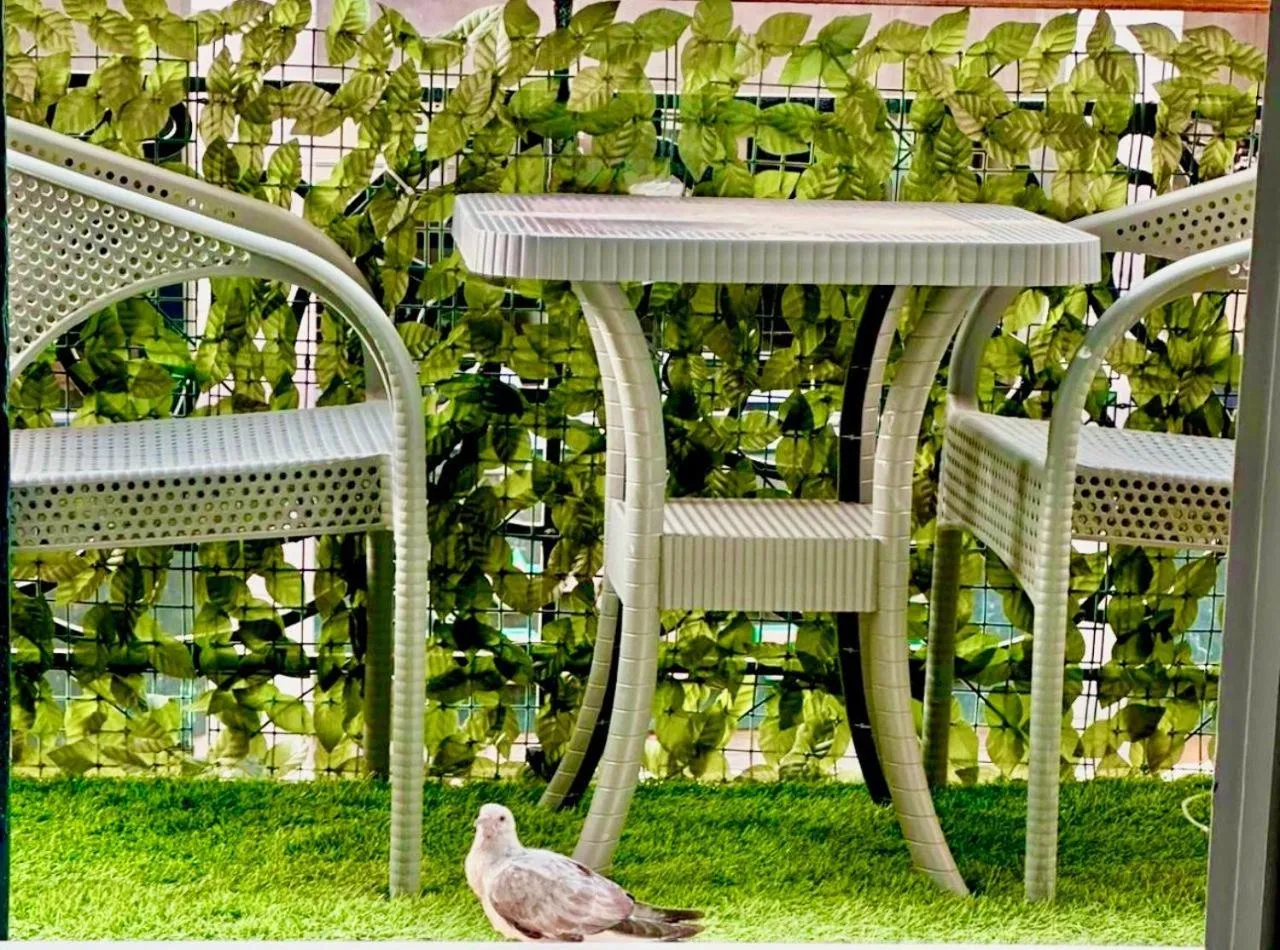 Street view in Heritage Hostel Cairo