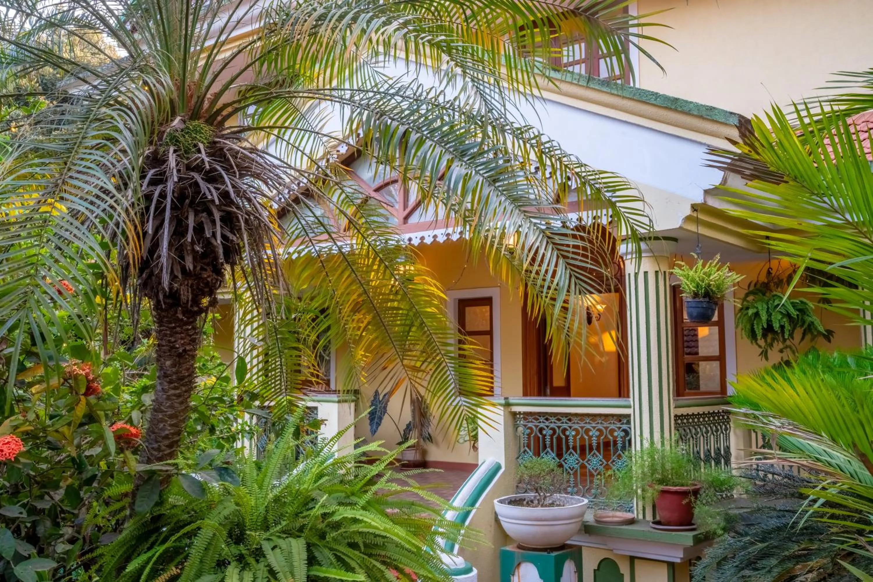 Palm Grove Cottages - Leisure Resort