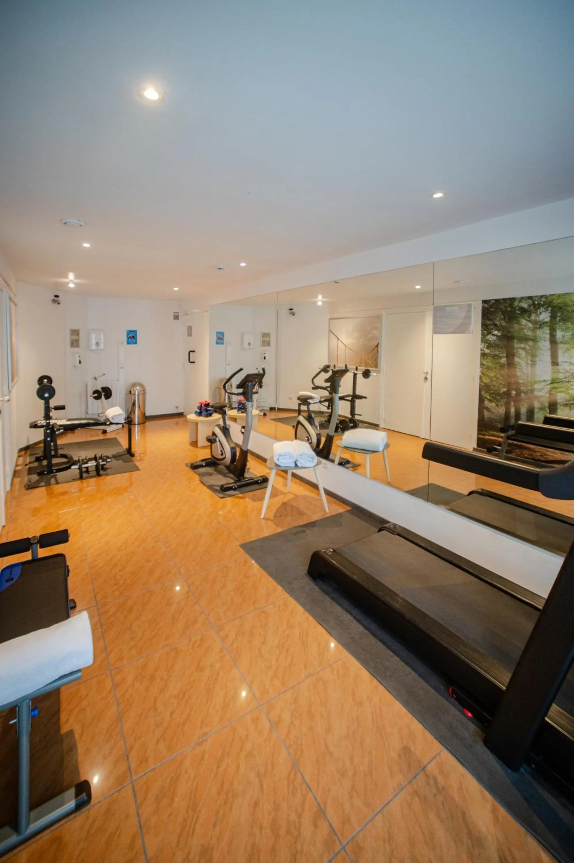 Fitness centre/facilities in Logis Hôtel Des Acacias Lille Neuville en Ferrain, Restaurant l'Acacias Gourmand