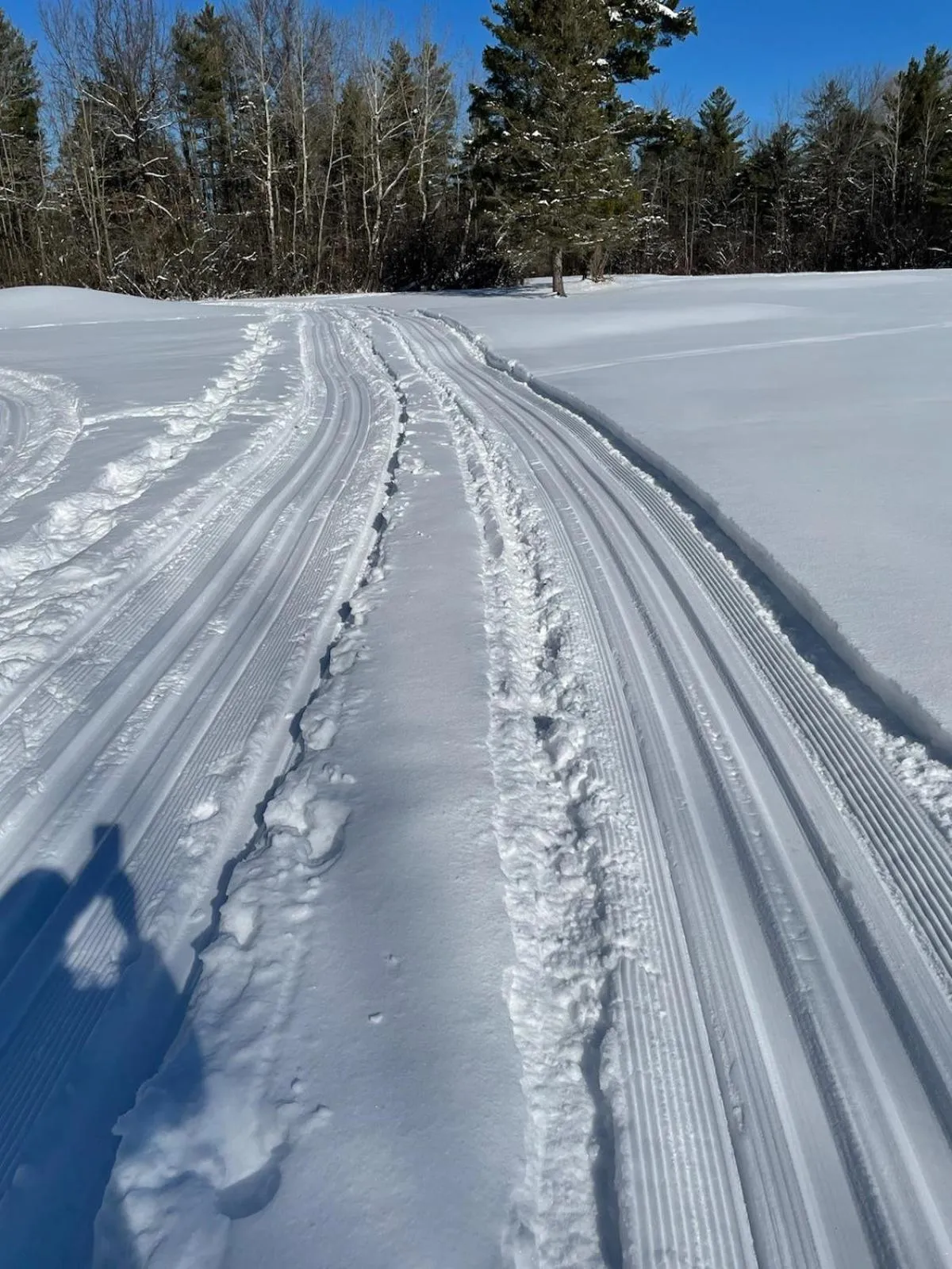 Skiing in Best Western University Inn