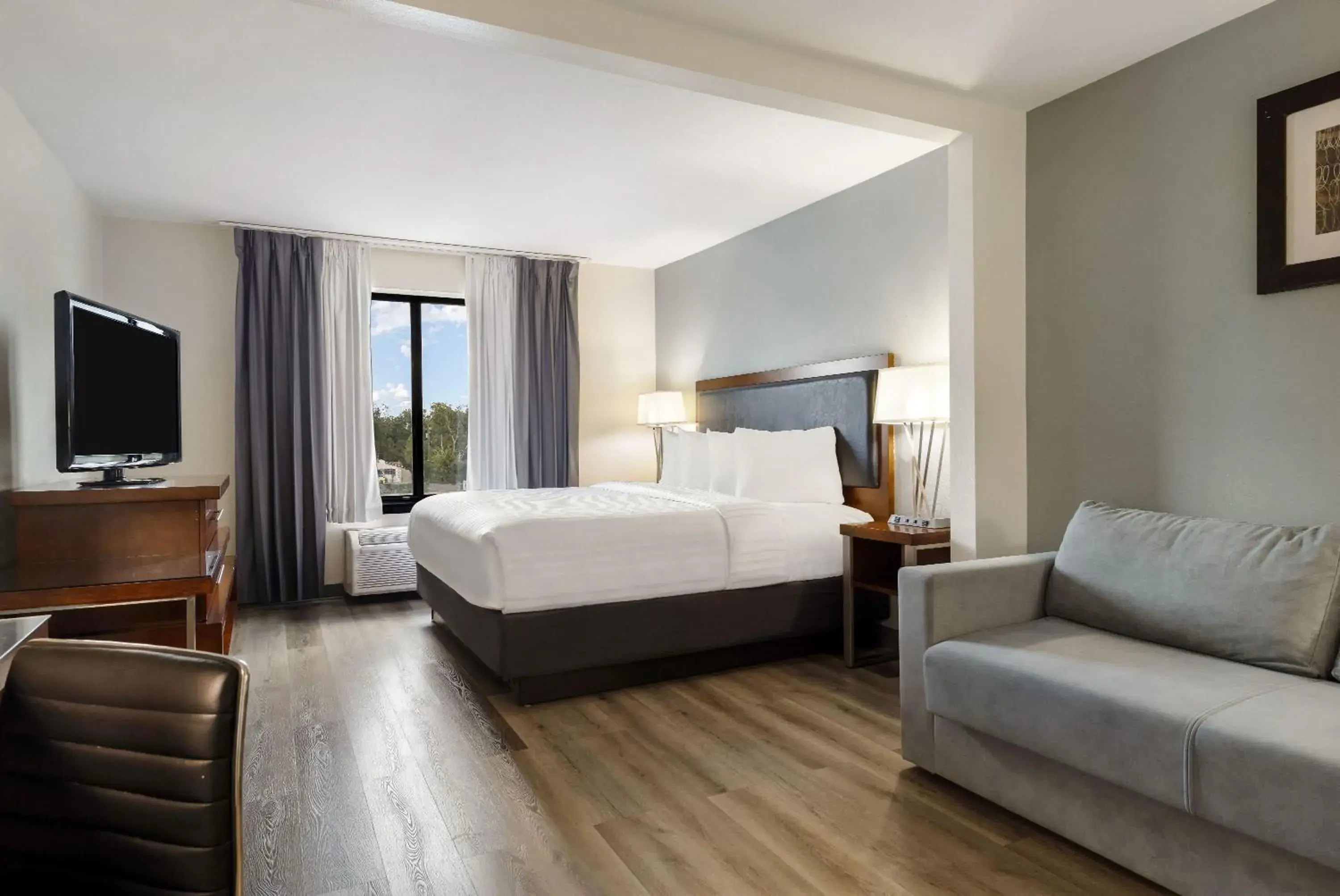 Bed in Wingate by Wyndham and Williamson Conference Center Bed in Wingate by Wyndham and Williamson Conference Center