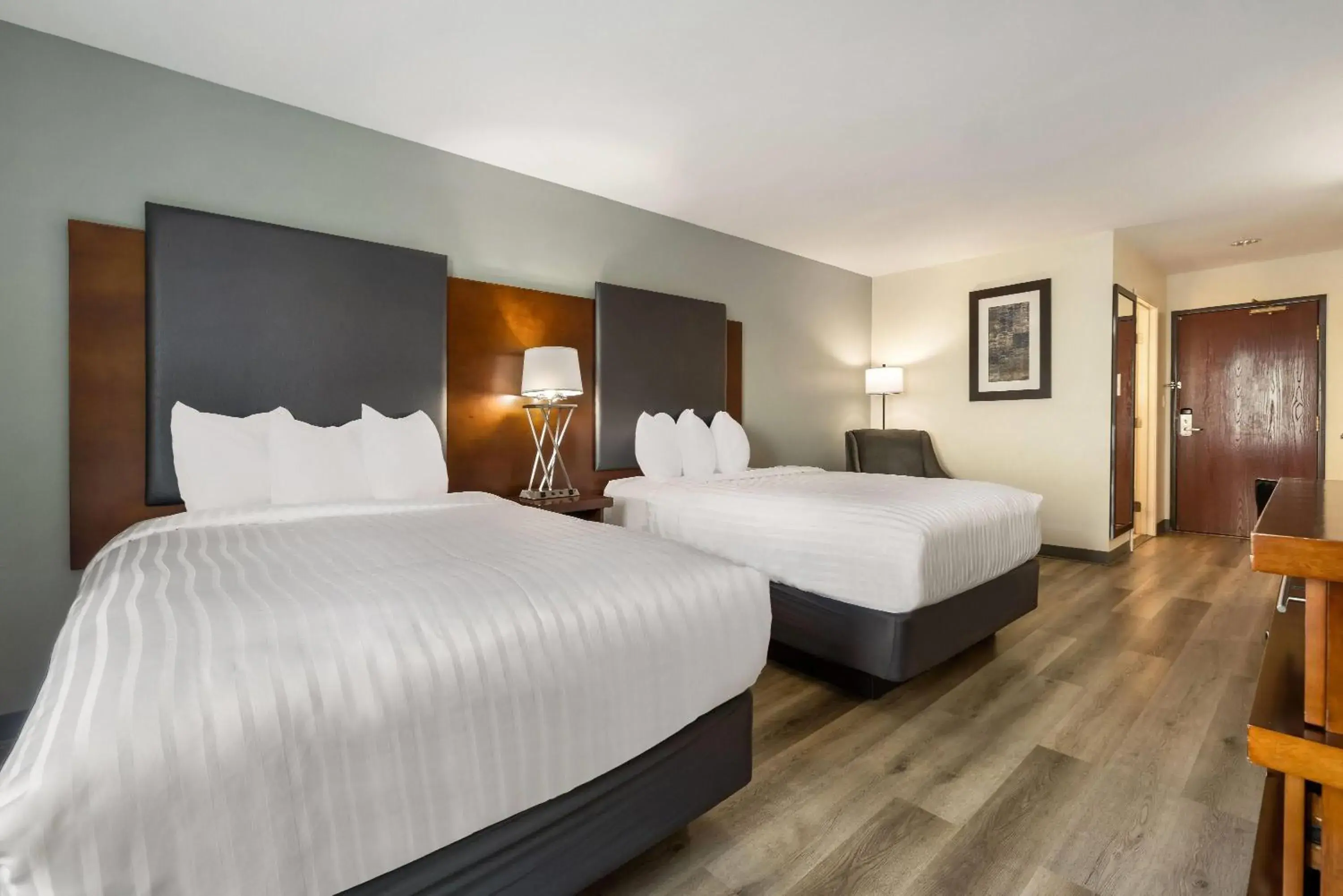 Bed in Wingate by Wyndham and Williamson Conference Center Bed in Wingate by Wyndham and Williamson Conference Center