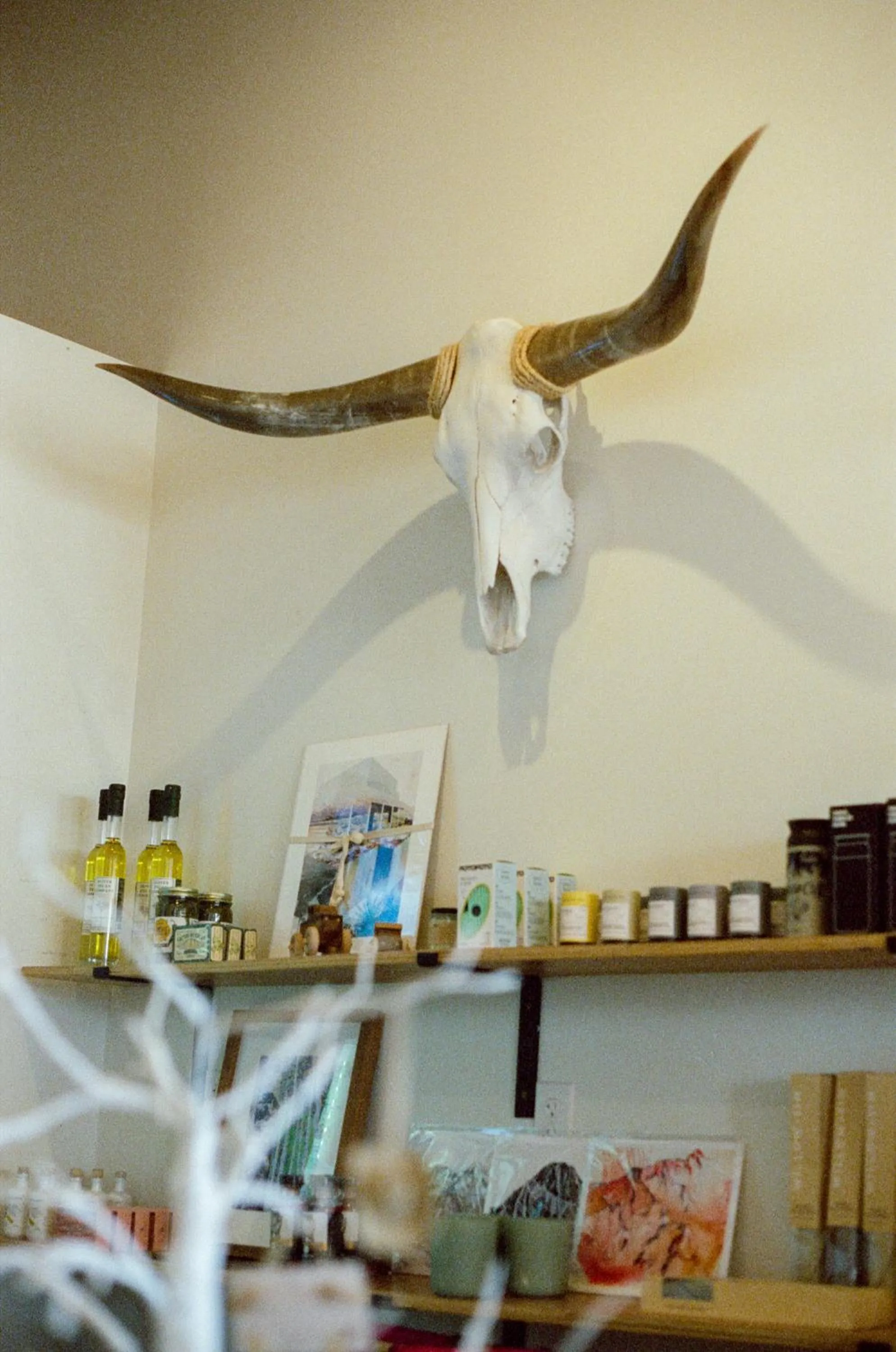 Decorative detail in Mellow Moon Lodge