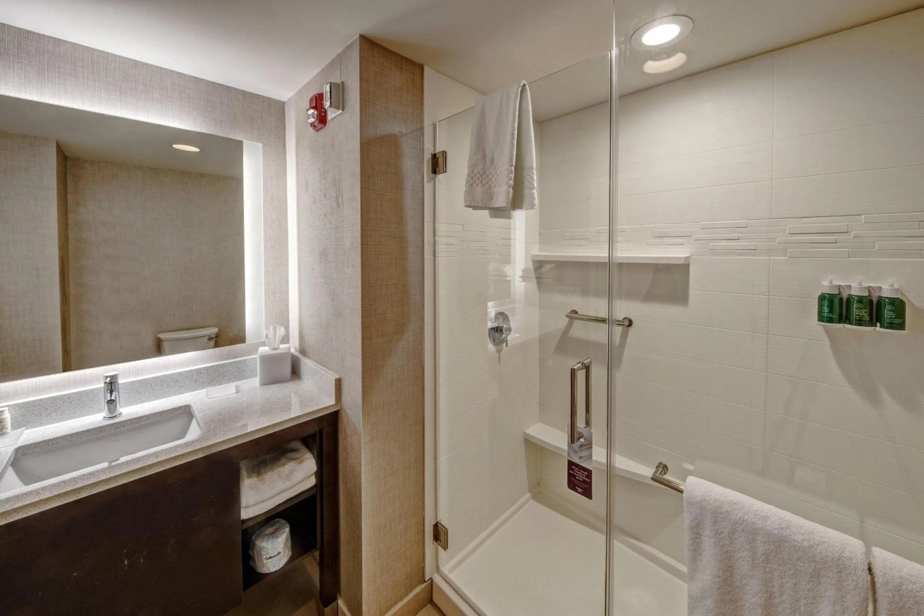 Bathroom in Residence Inn by Marriott Nashville at Opryland