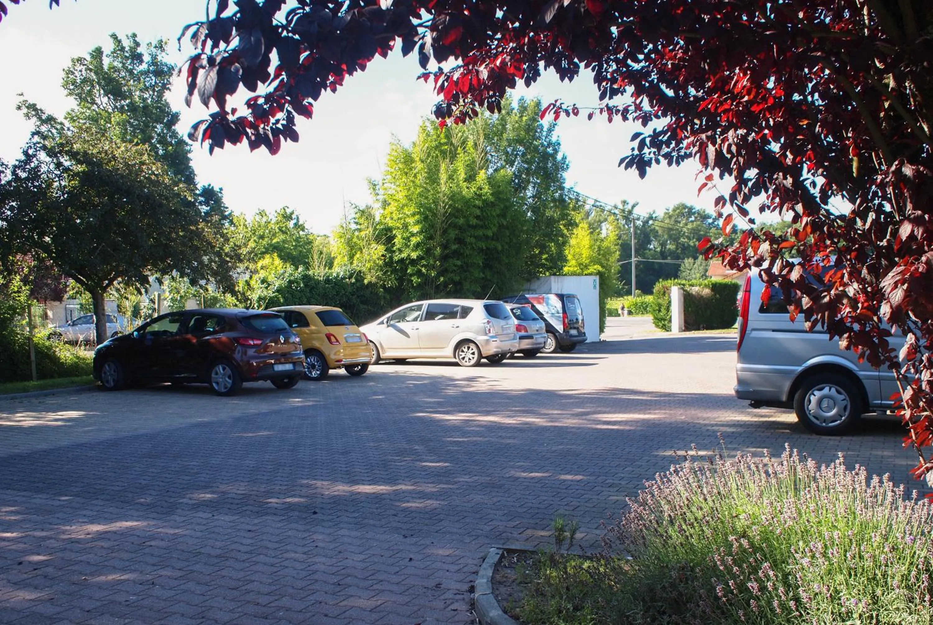 Area and facilities in ibis Bordeaux Saint Emilion