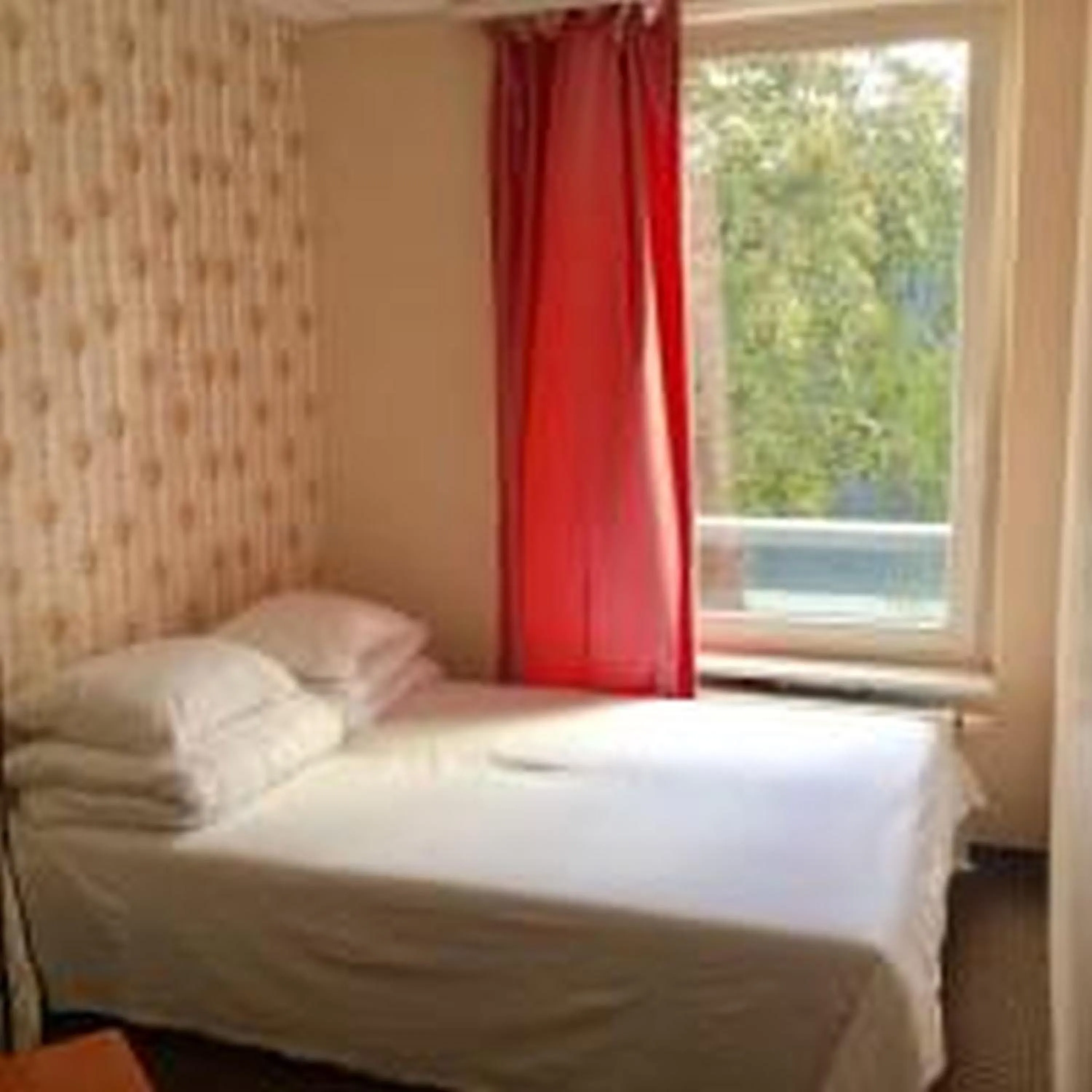 Bed in Harbour Hub Hostel