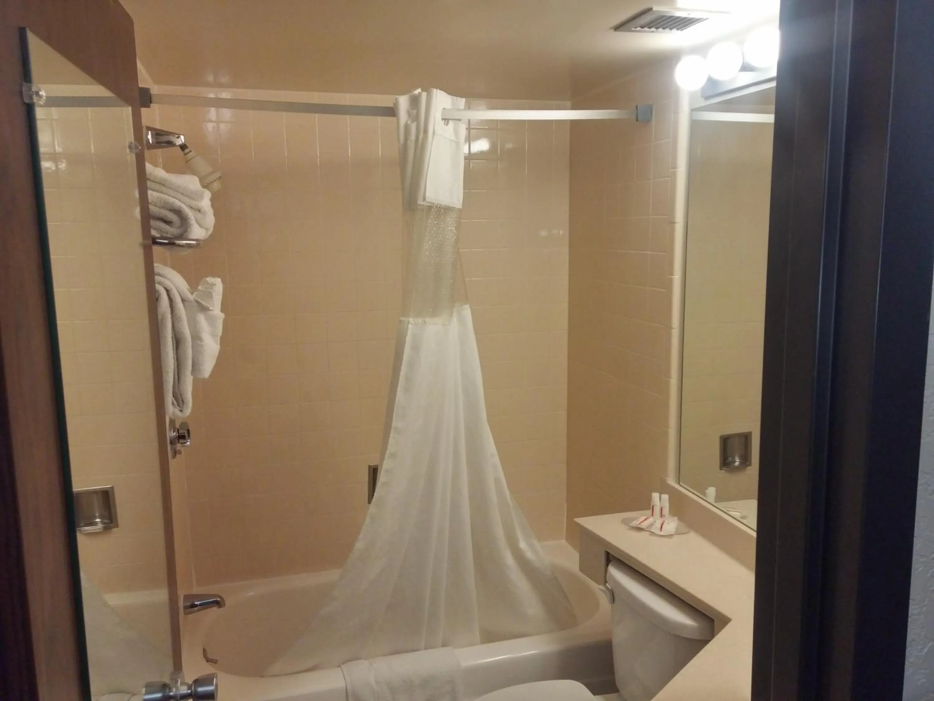 Bathroom in Ramada by Wyndham Grand Junction
