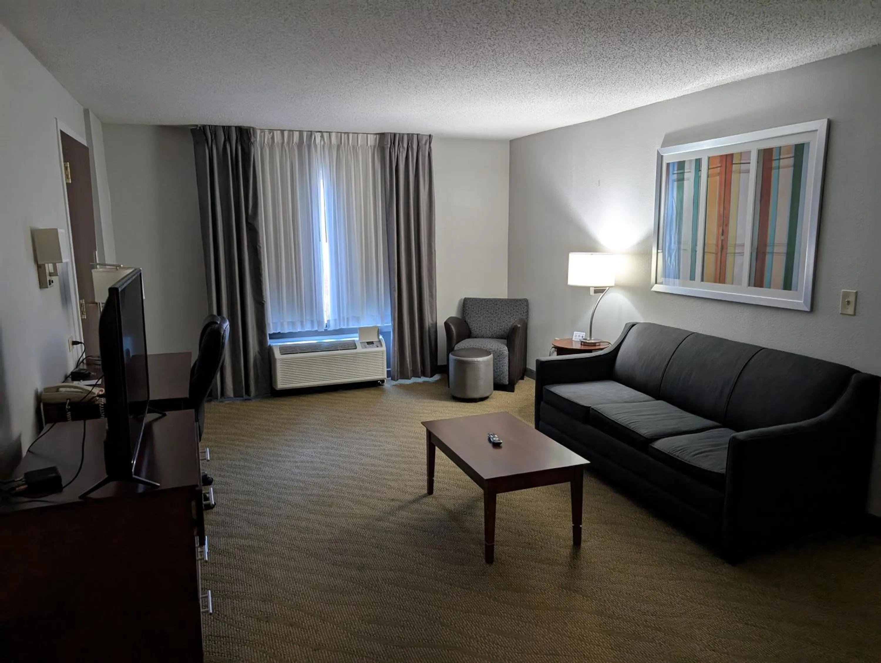 TV and multimedia in Wingate by Wyndham Chesapeake