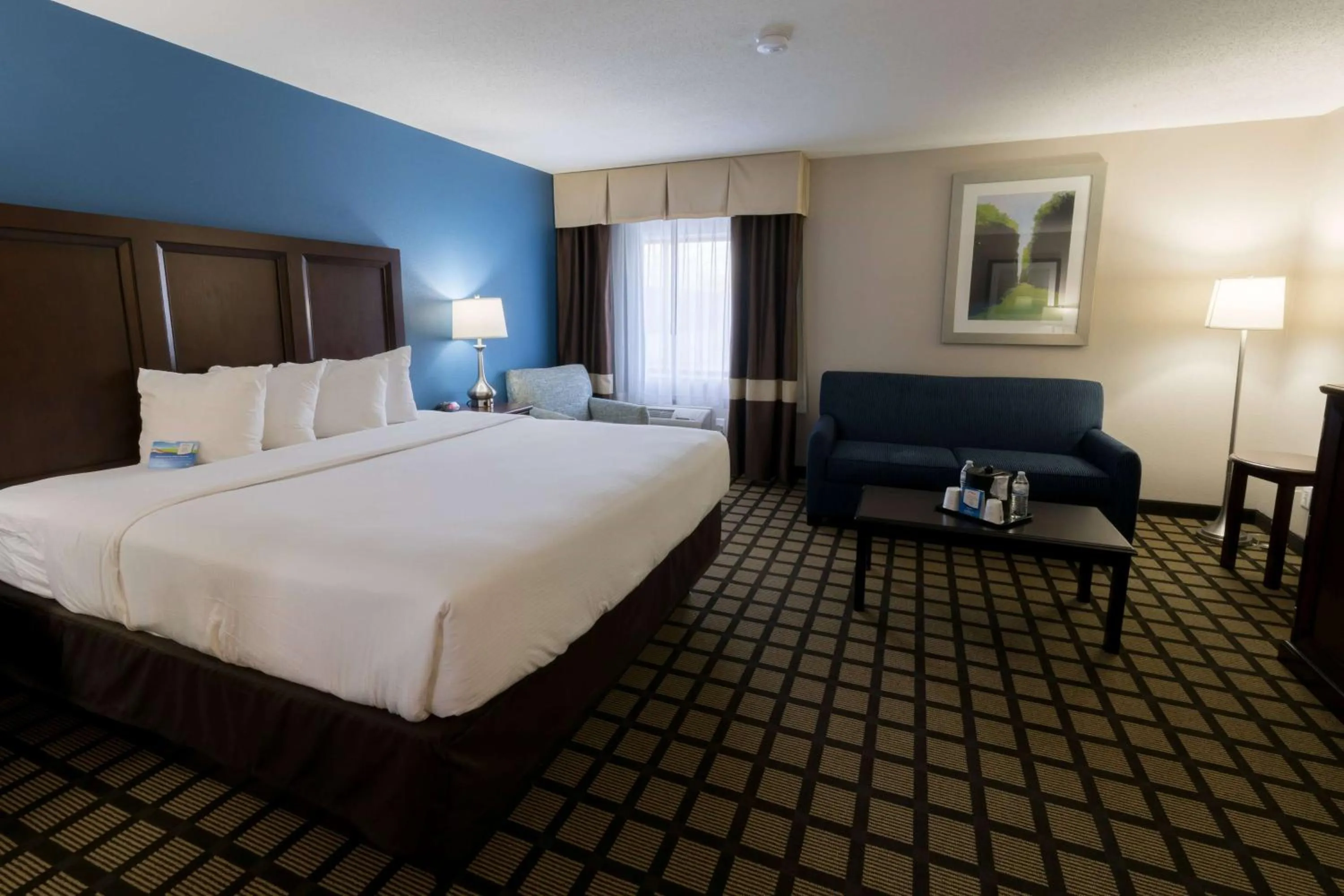 Photo of the whole room, Bed in Baymont by Wyndham Detroit Airport/Romulus