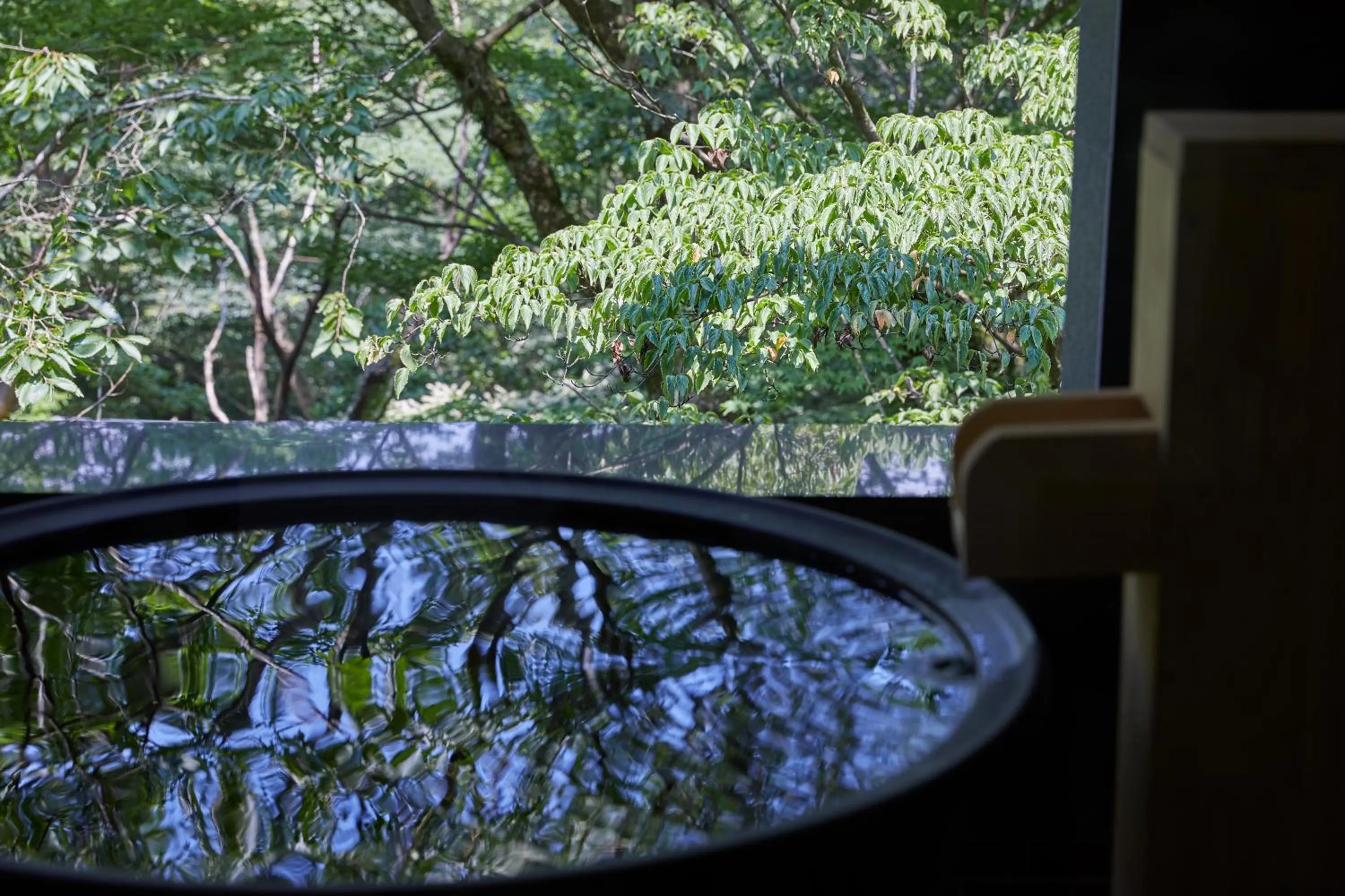 Photo of the whole room in Centurion Hakone Bettei