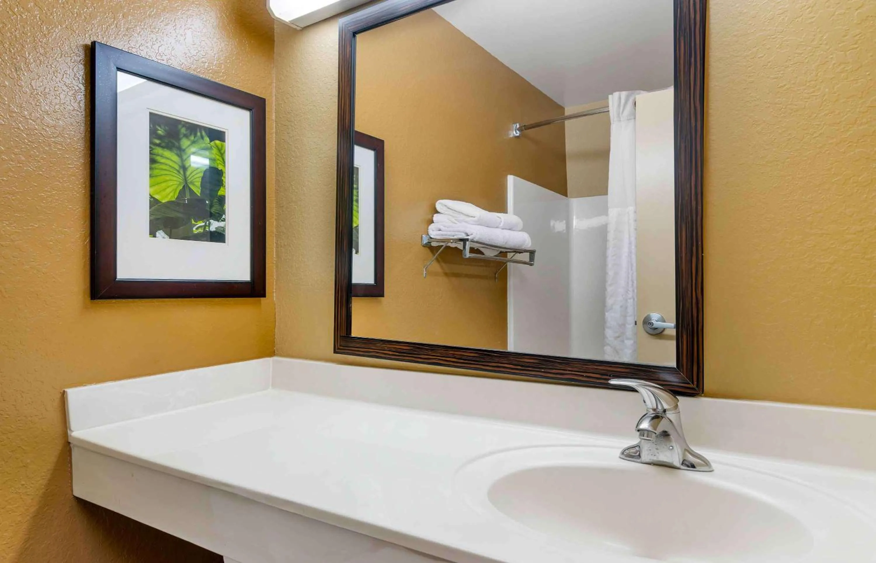 Bathroom in Extended Stay America Select Suites - Tampa - North - USF - Attractions