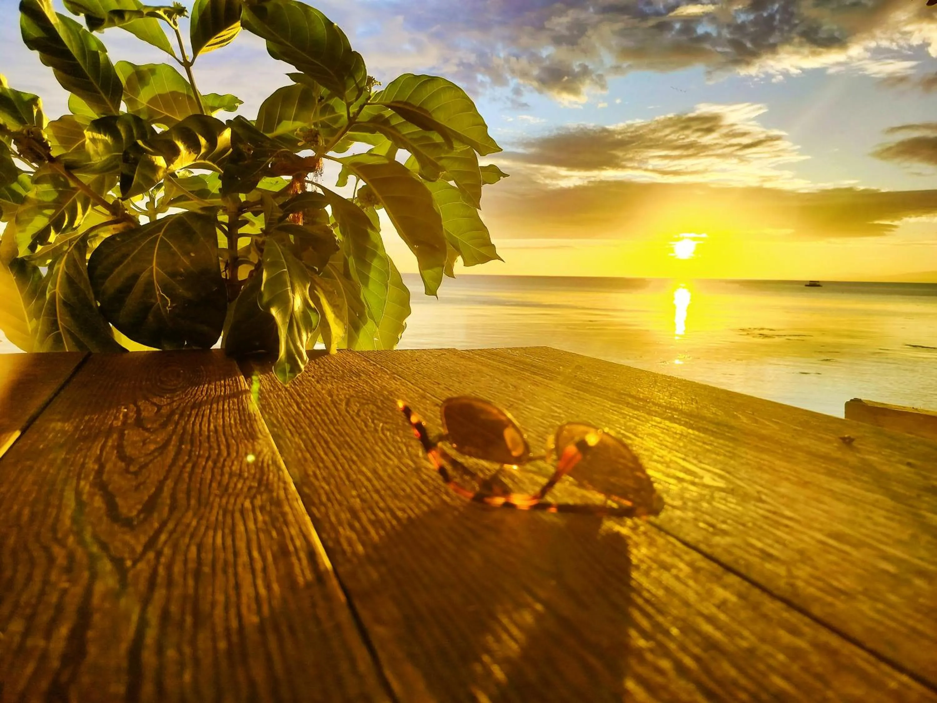 Beach in Swakihan Guest House