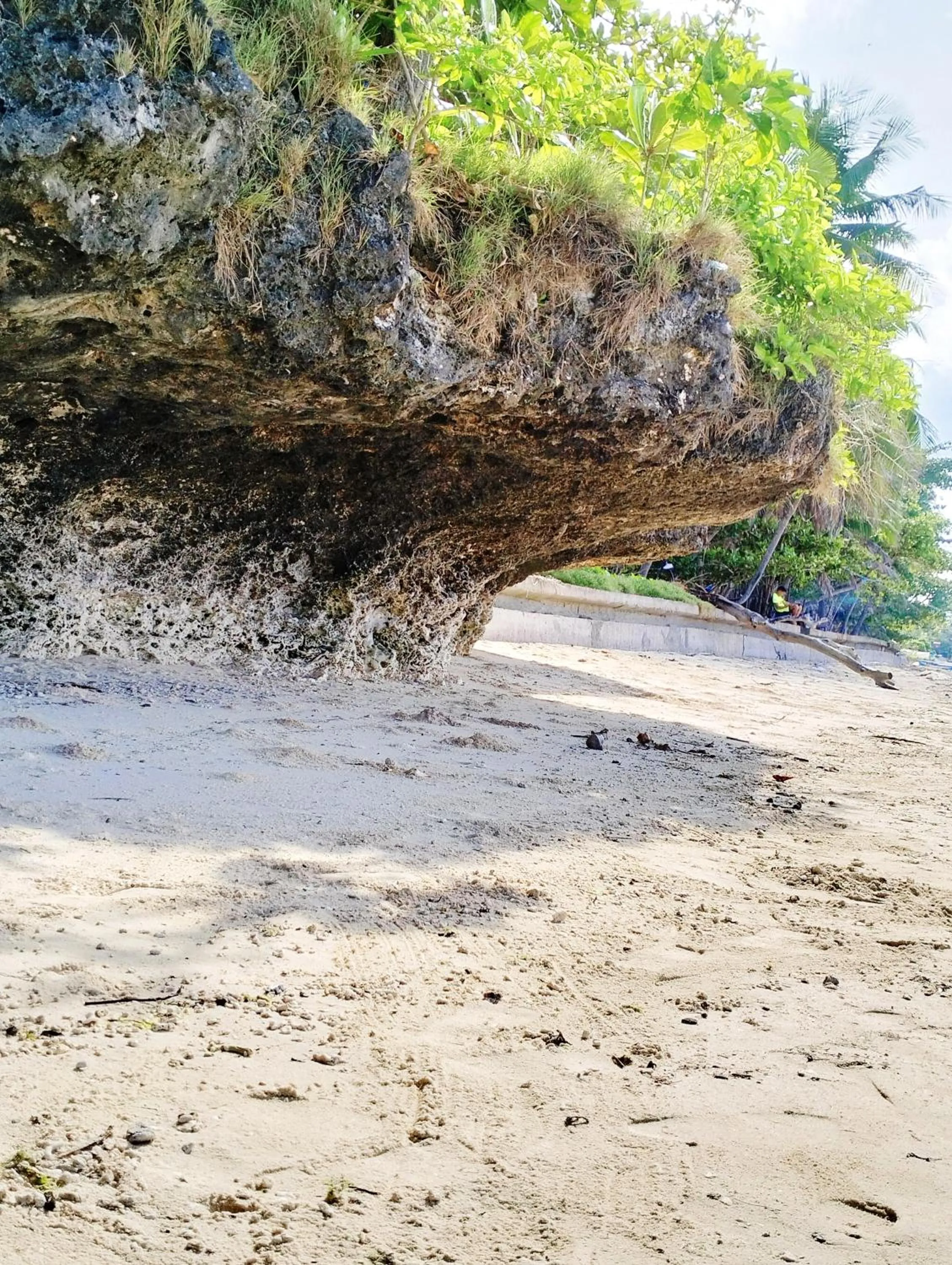 Day in Swakihan Guest House