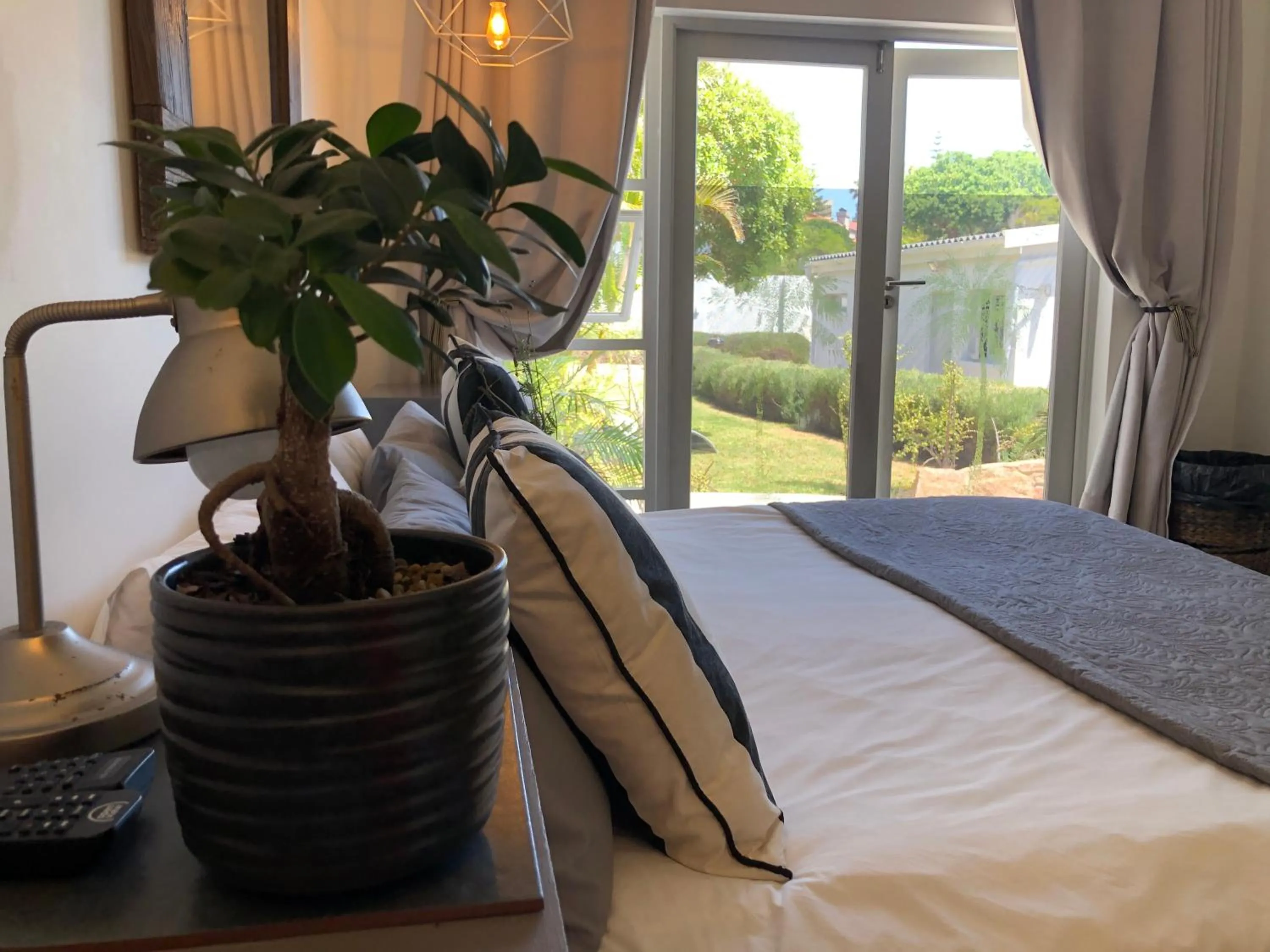 Villa Palmera