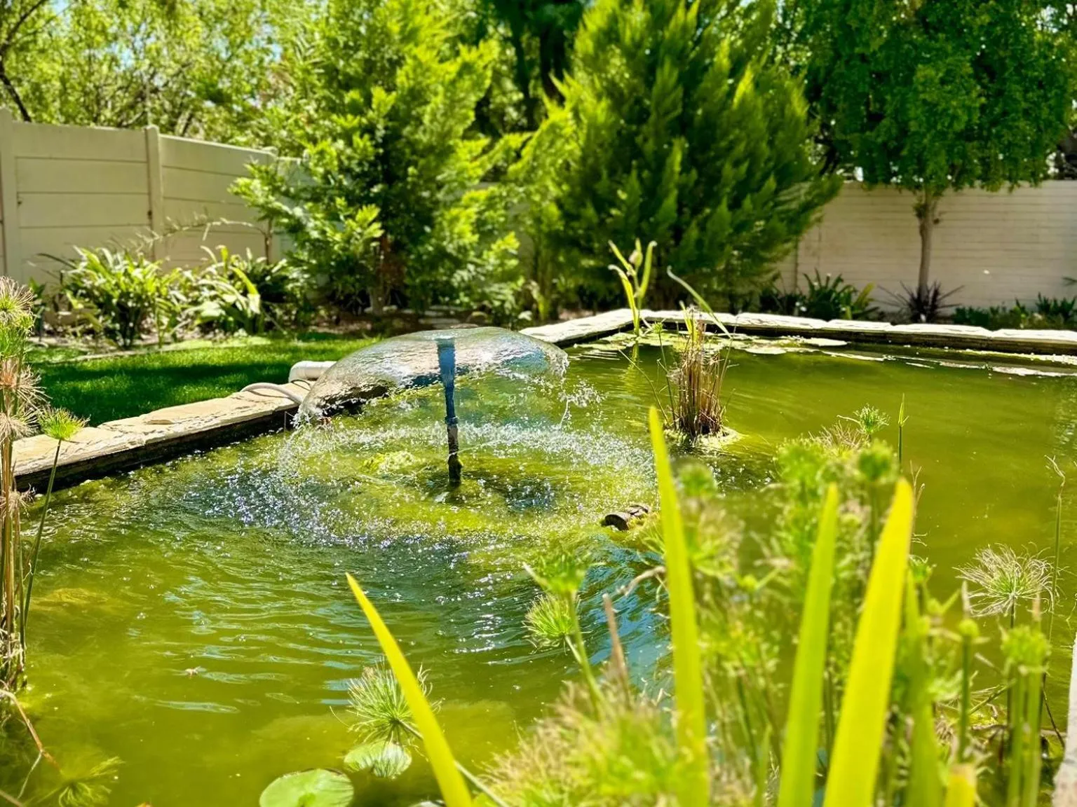 Garden in Kliprand Guest House