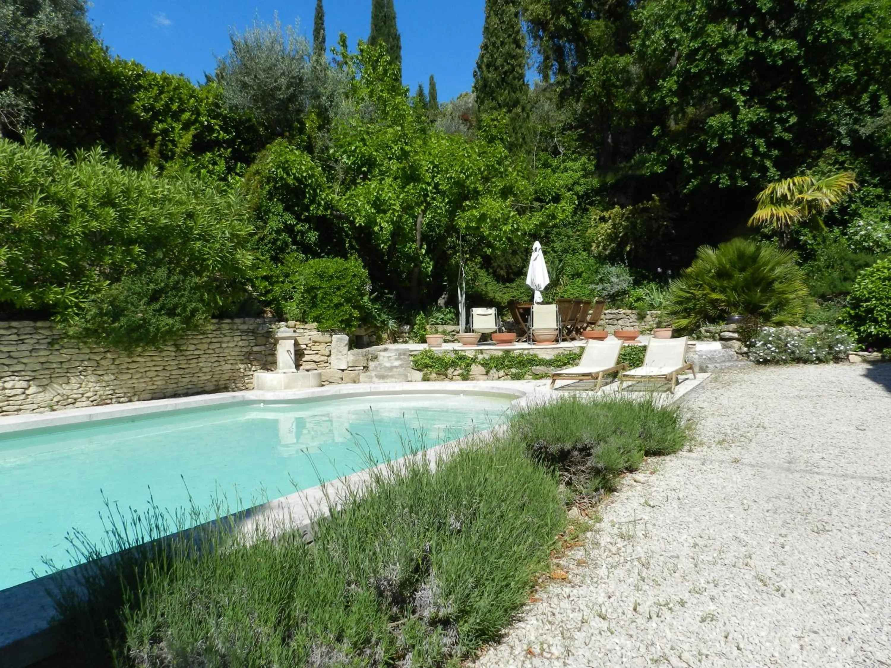 Swimming pool in Les Acanthes