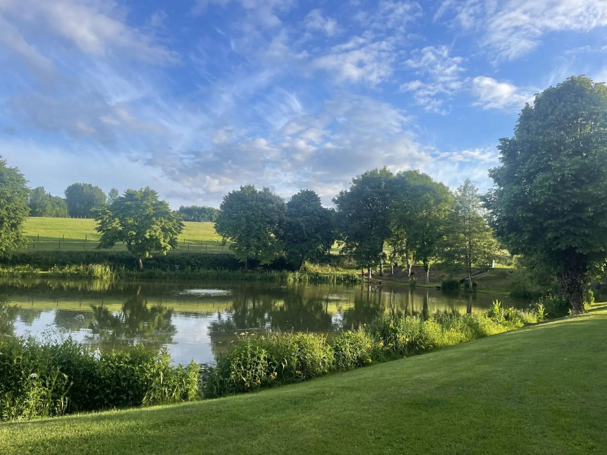 Natural landscape in Kingfisher Lodge, South View Lodges, Exeter