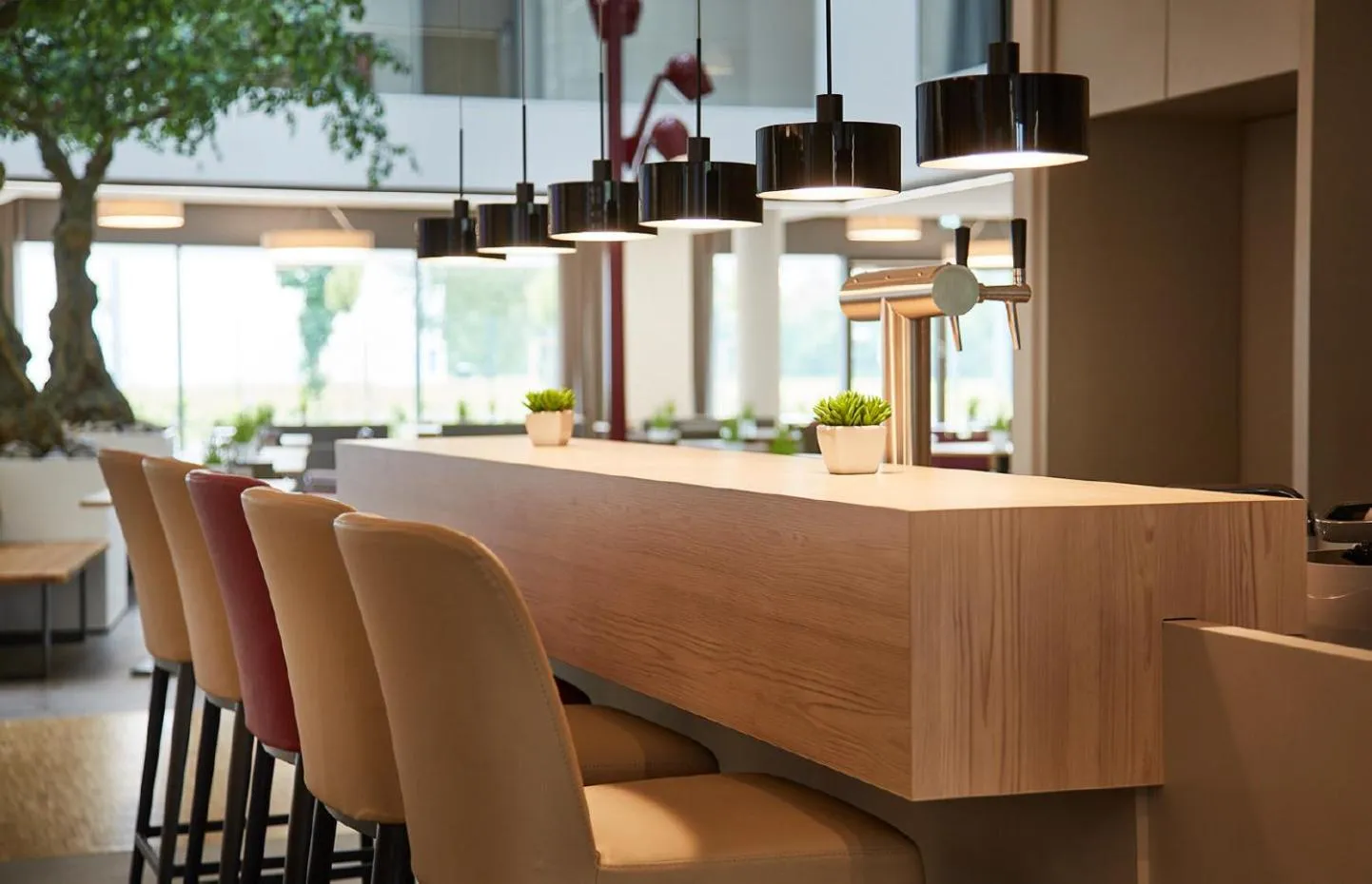 Restaurant/places to eat in Hotel Vivendi