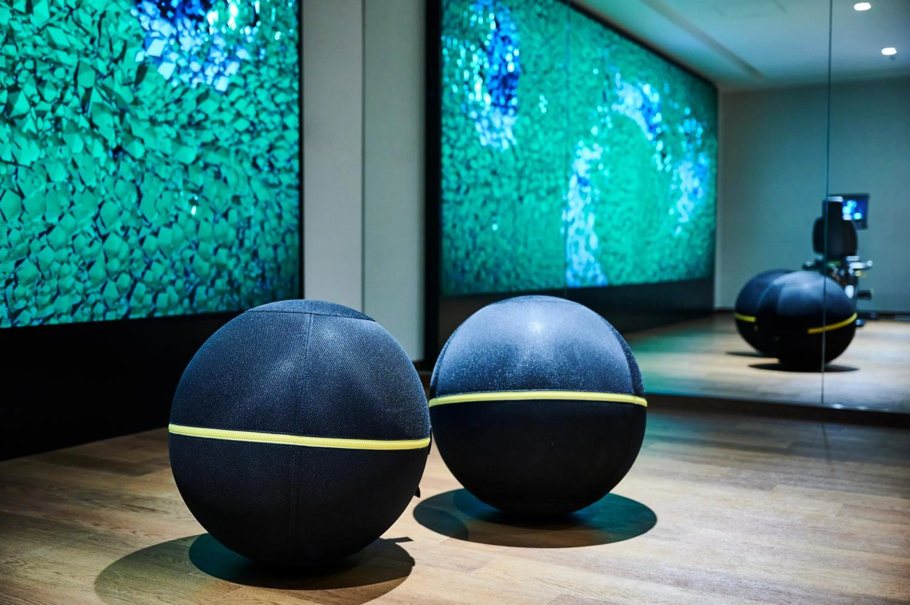 Fitness centre/facilities in Hotel Indigo Hakone Gora by IHG