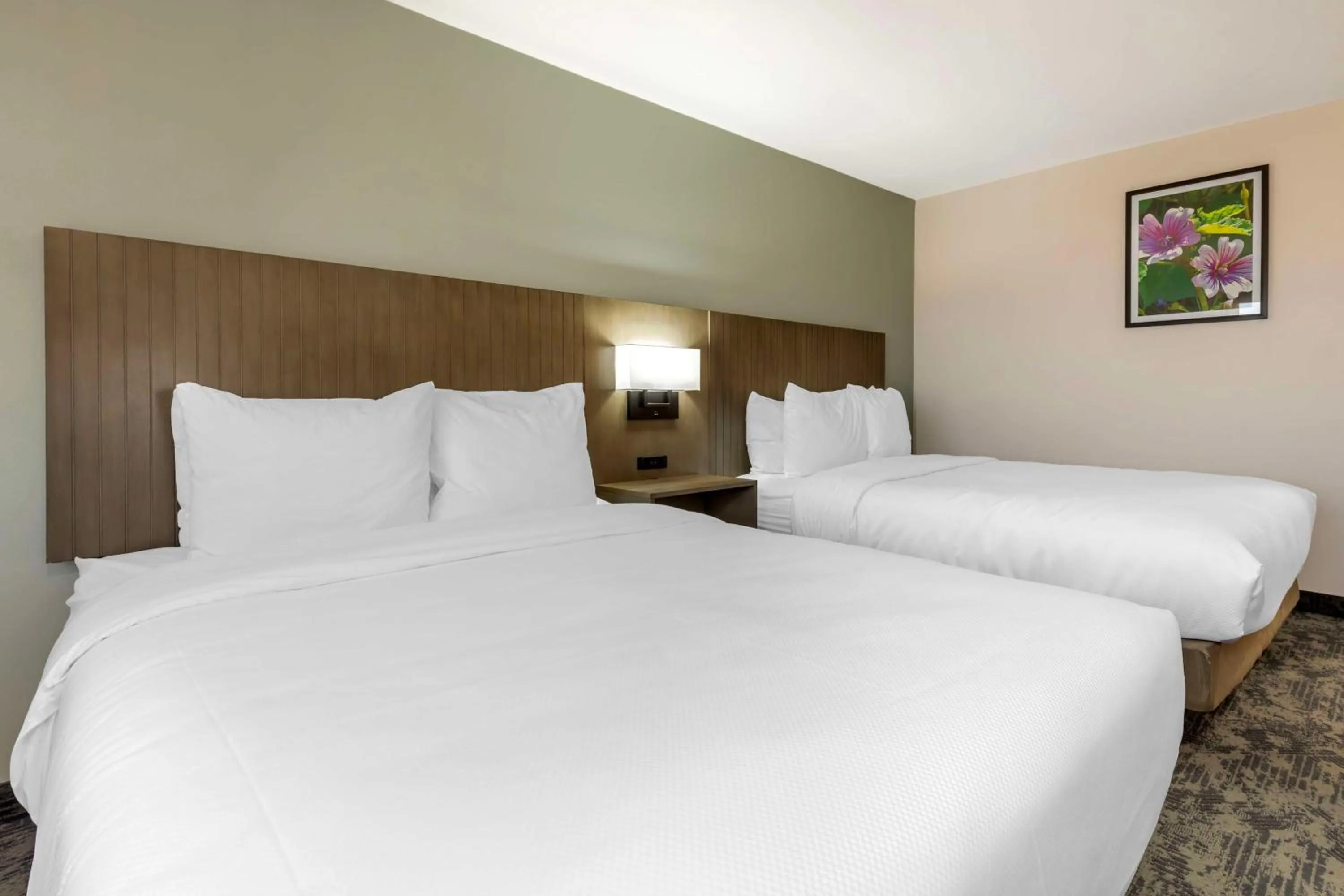 Bedroom, Bed in Best Western North Side Inn