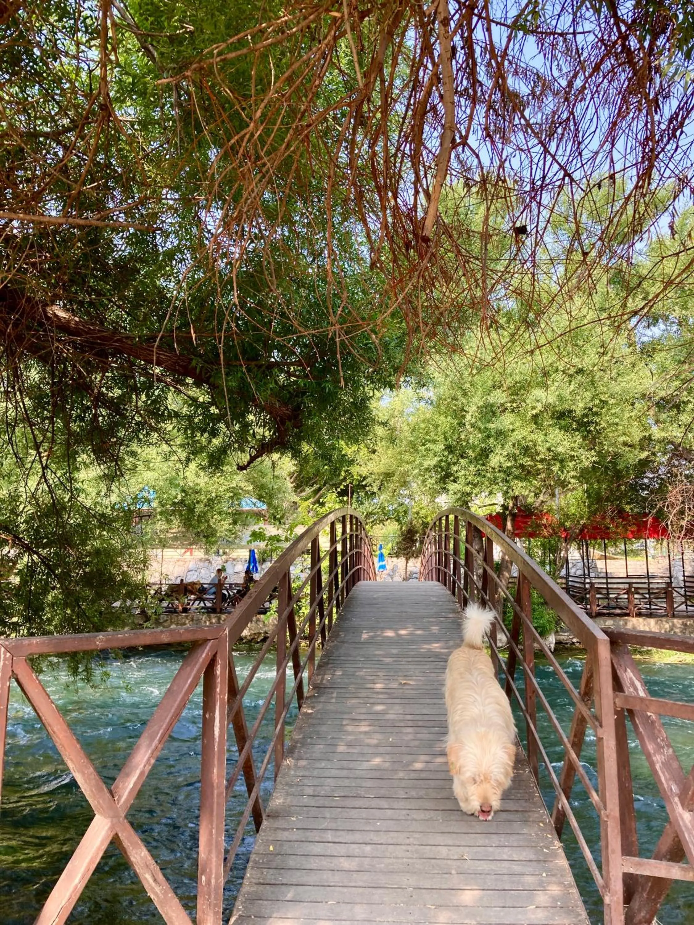 Natural landscape in Karden Otel