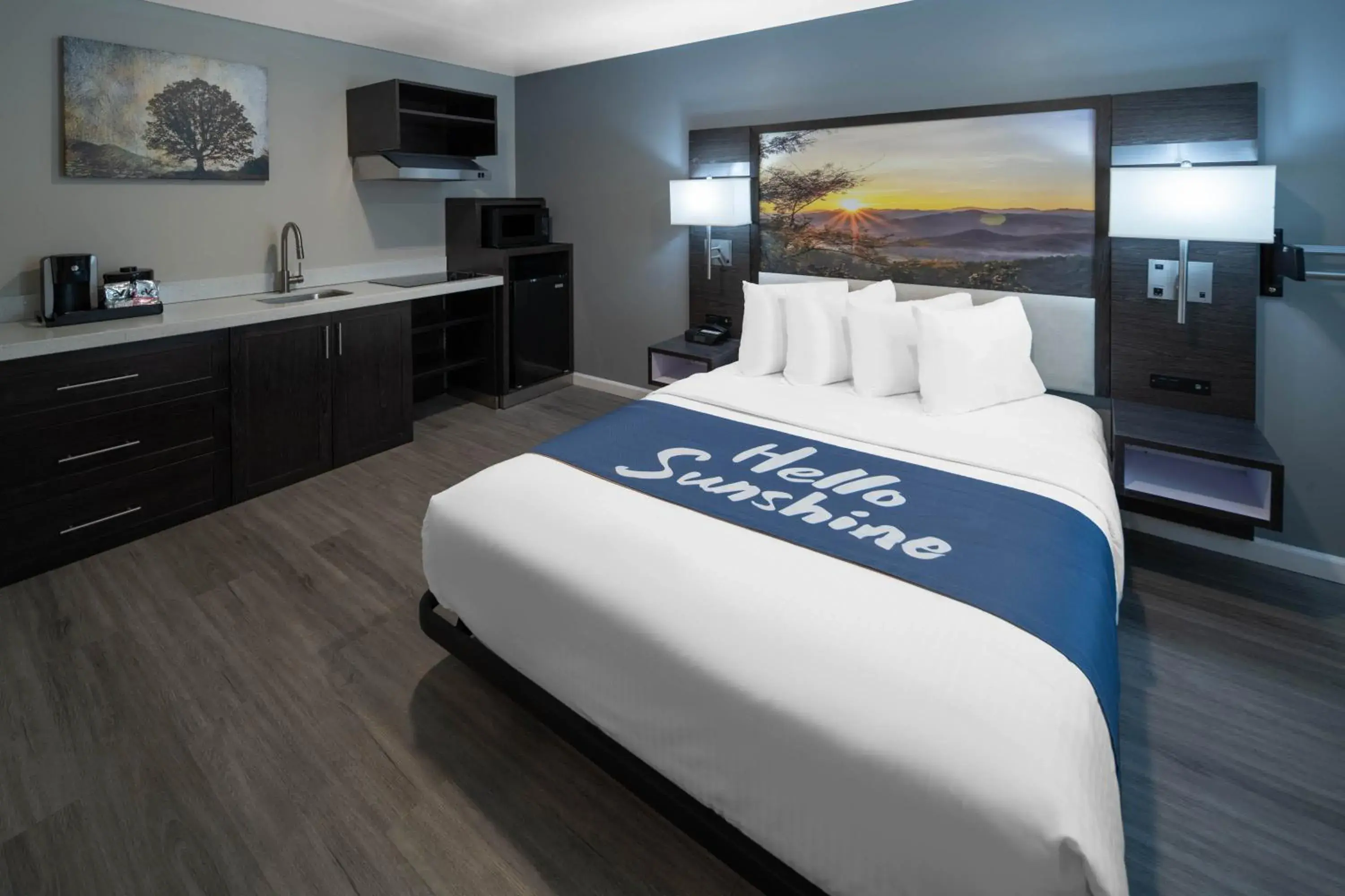 1 Queen Bed, Deluxe Mobility/Hearing Impaired Accessible, Studio Suite, Non-Smoking in Days Inn by Wyndham Galt - Elk Grove South 1 Queen Bed, Deluxe Mobility/Hearing Impaired Accessible, Studio Suite, Non-Smoking in Days Inn by Wyndham Galt - Elk Grove South