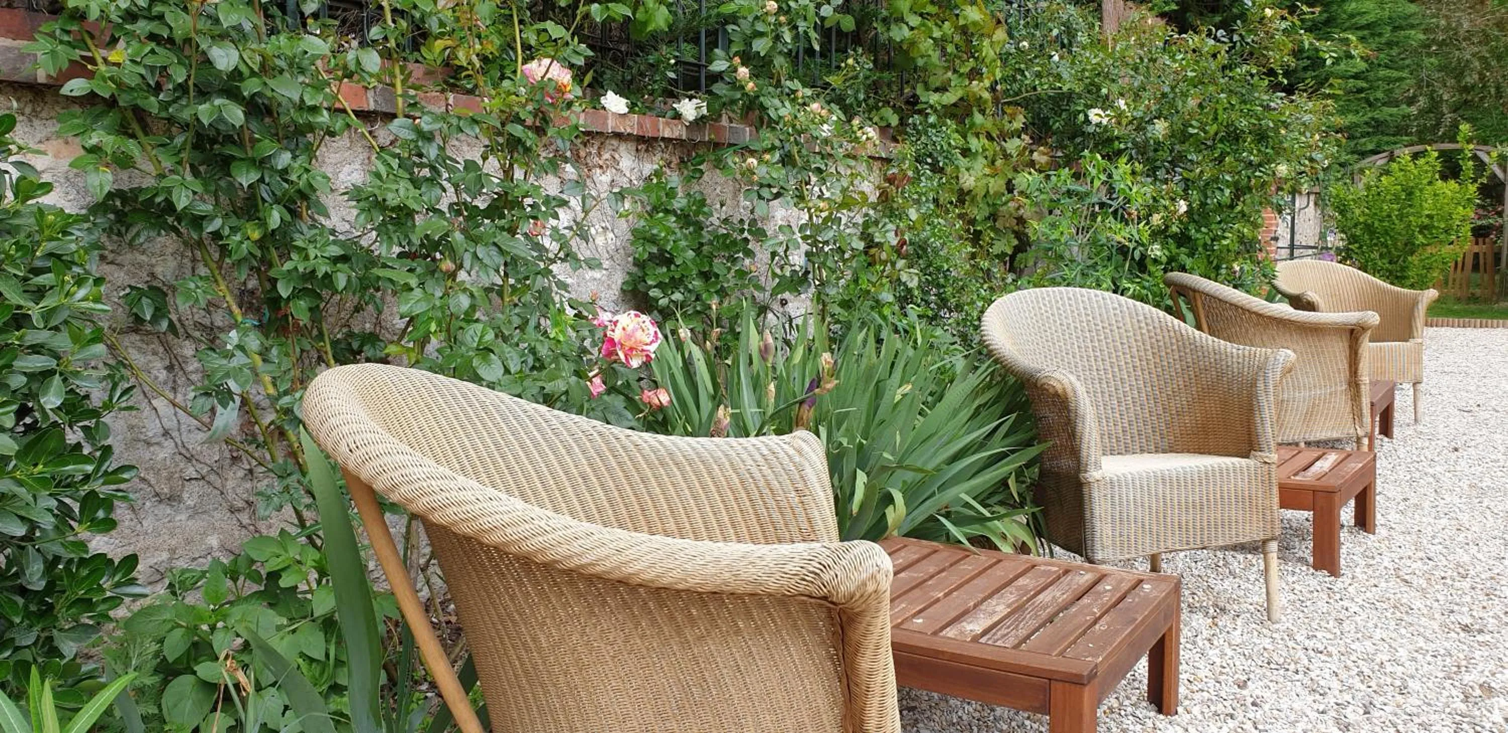 Garden in LA MAISON LEONARD