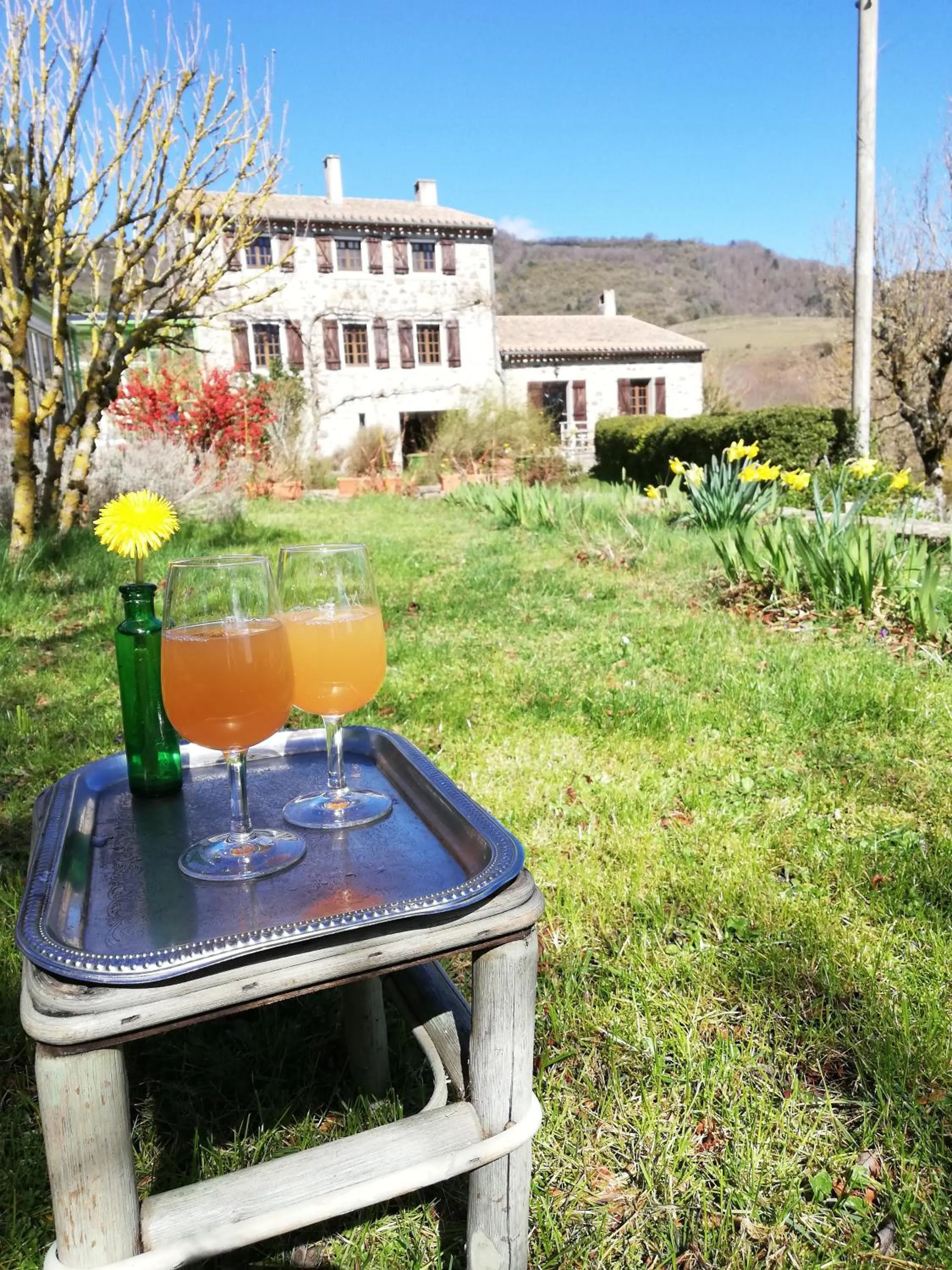 Garden in Domaine des Goudis