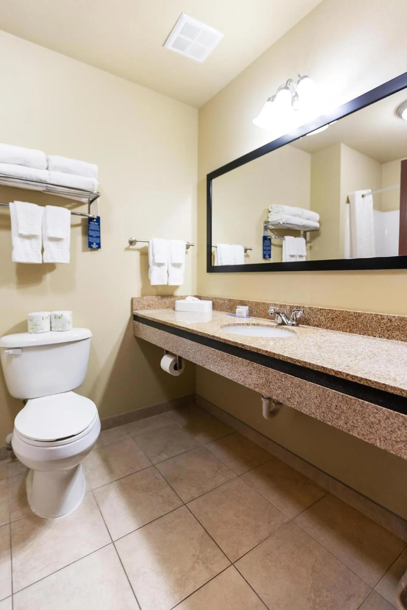 Bathroom in Cobblestone Hotel & Suites - Knoxville