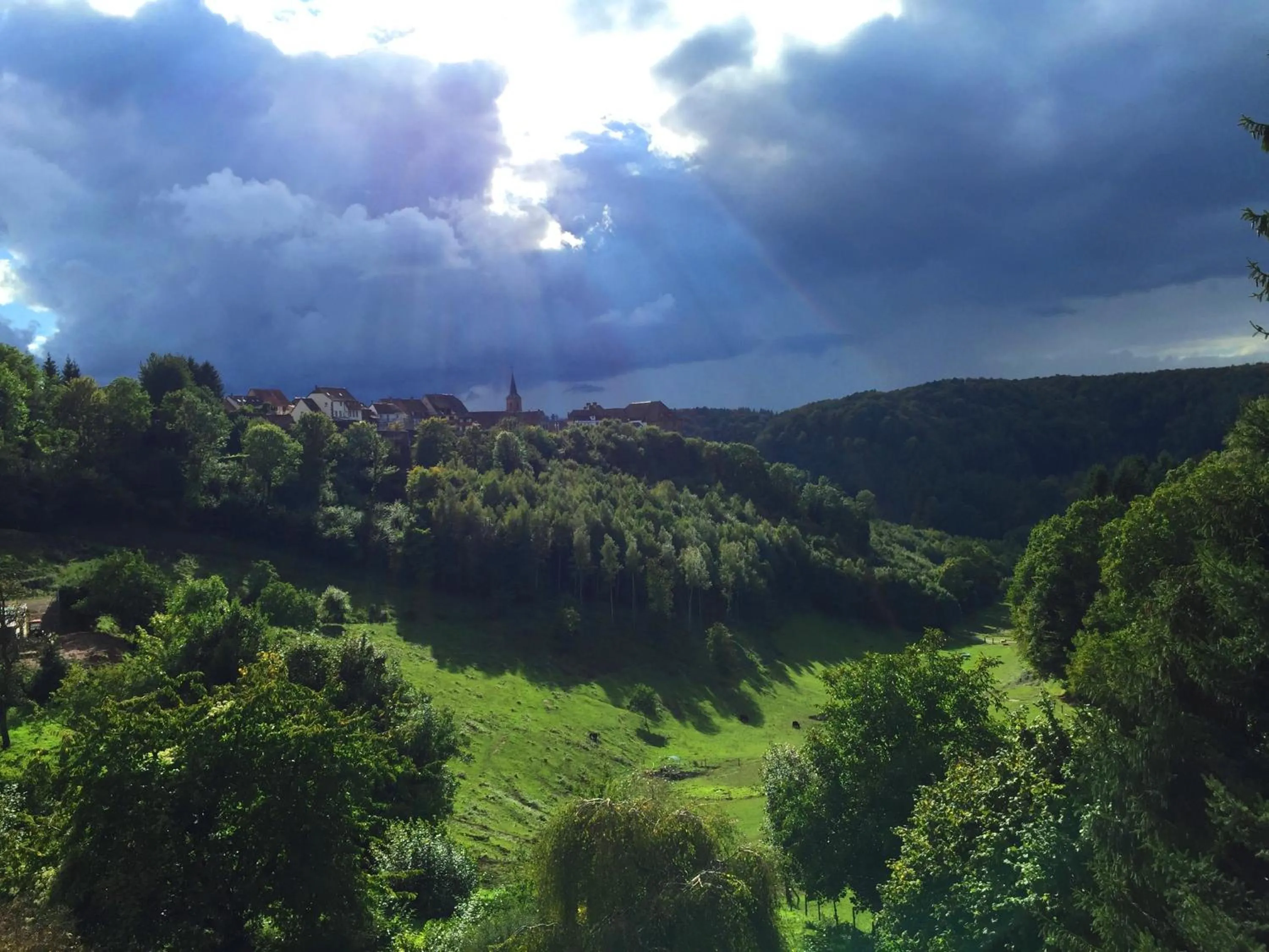 Day in Logis Hôtel-Restaurant Aux Trois Roses