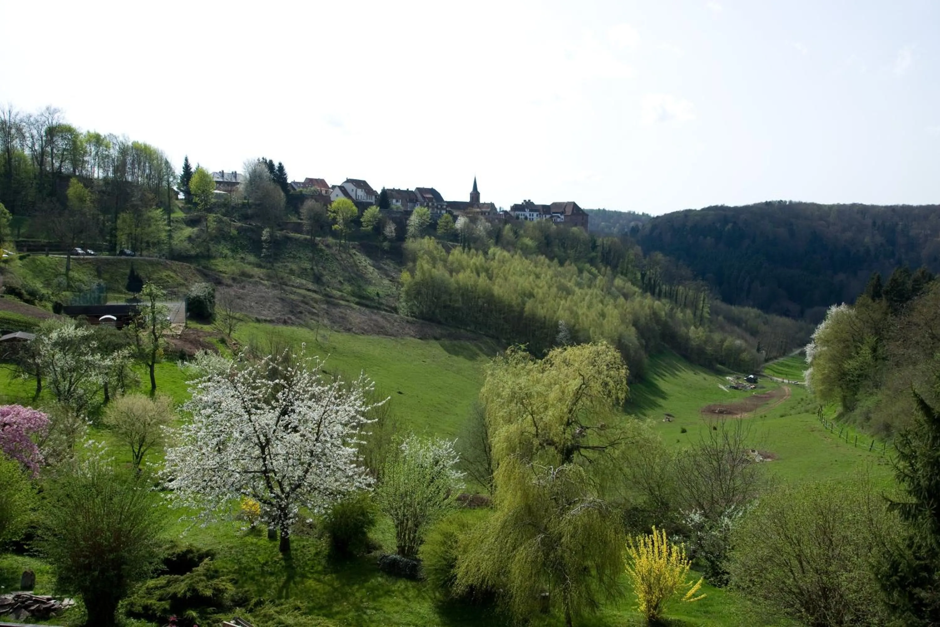 Bird's eye view in Logis Hôtel-Restaurant Aux Trois Roses