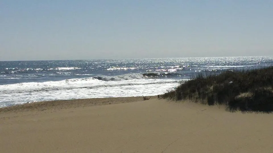 Beach in Outer Banks Motor Lodge