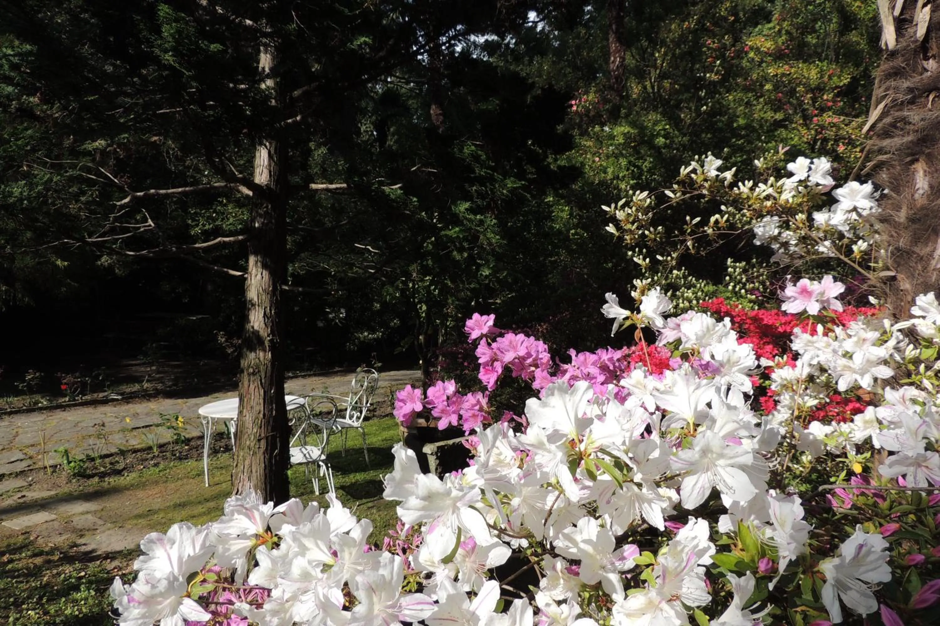 Spring in B&B Villa Margherita