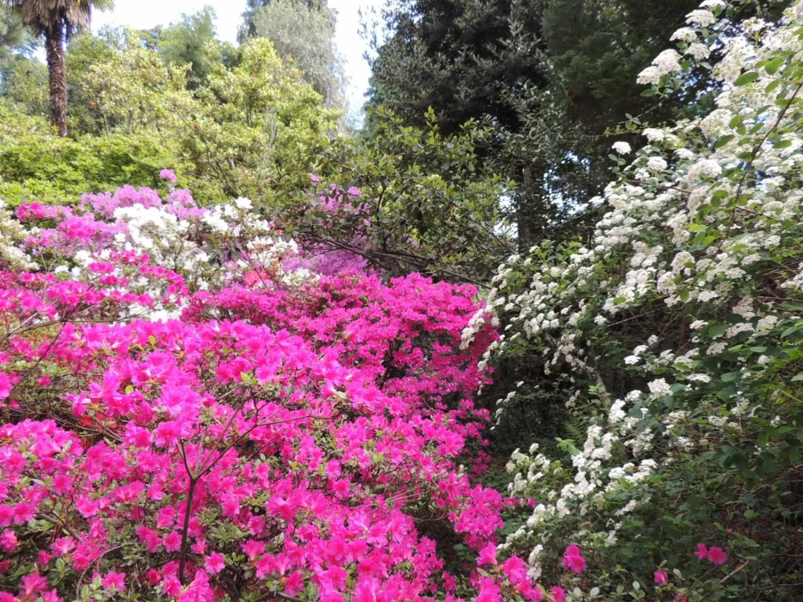 Spring in B&B Villa Margherita