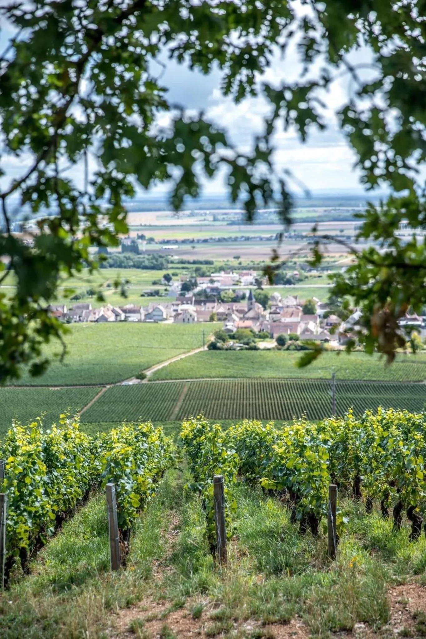 Nearby landmark in Le Richebourg Hôtel, Restaurant & Spa