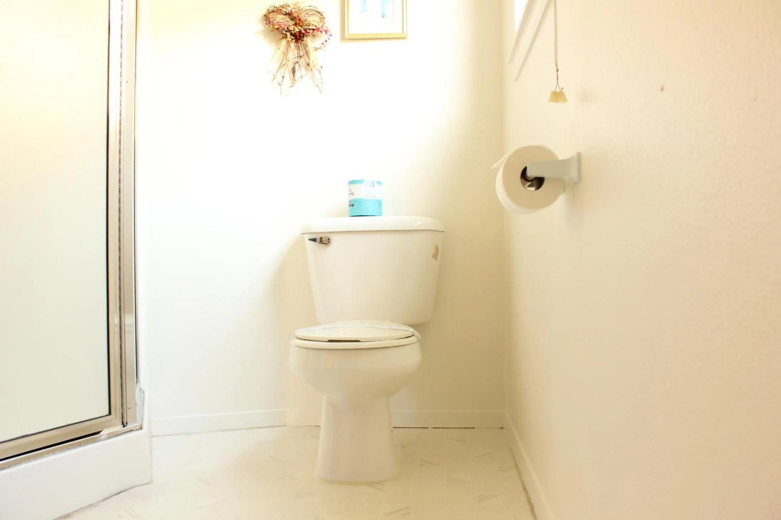 Toilet in Port Townsend Inn