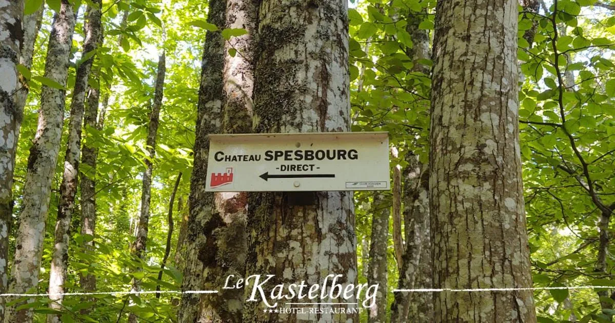 Activities in Hôtel Restaurant Le Kastelberg, The Originals Boutique