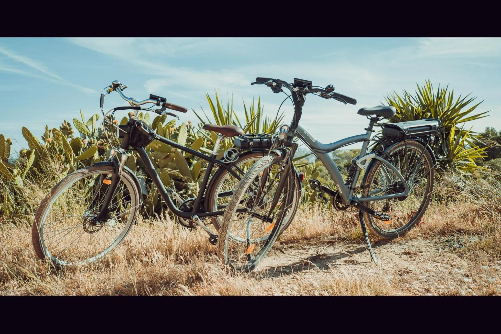 Moonshine Guest House with private studios and private cottage