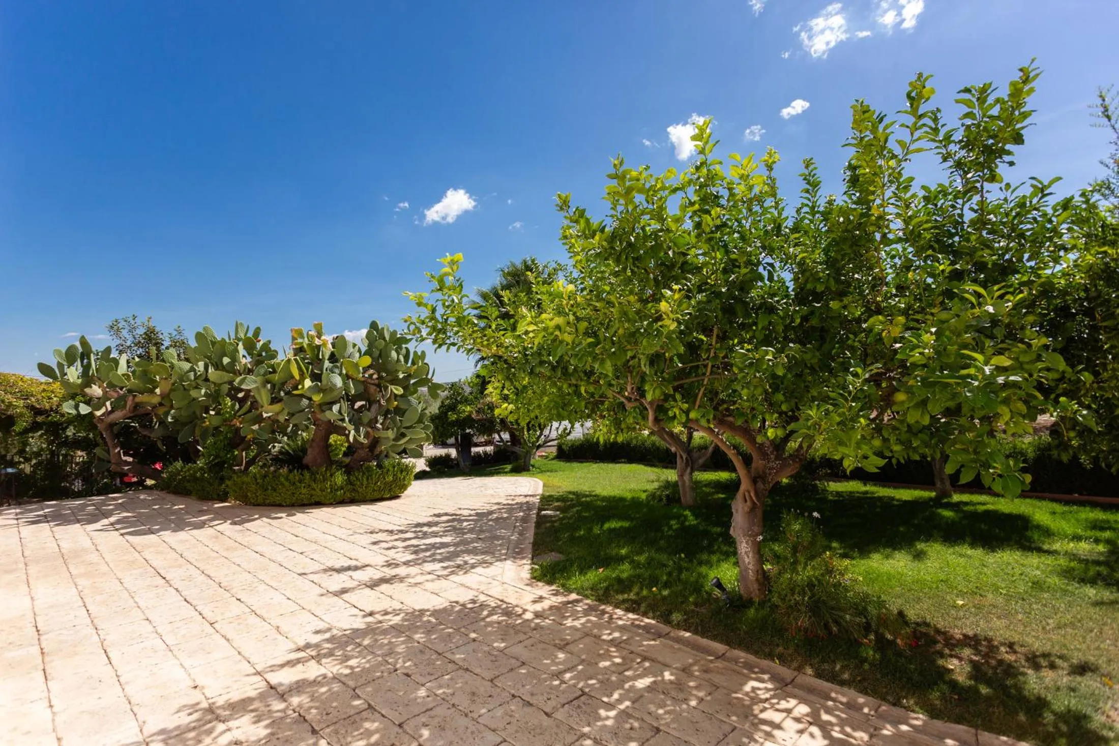 Garden view in Oikos in Terre di Zaccanello