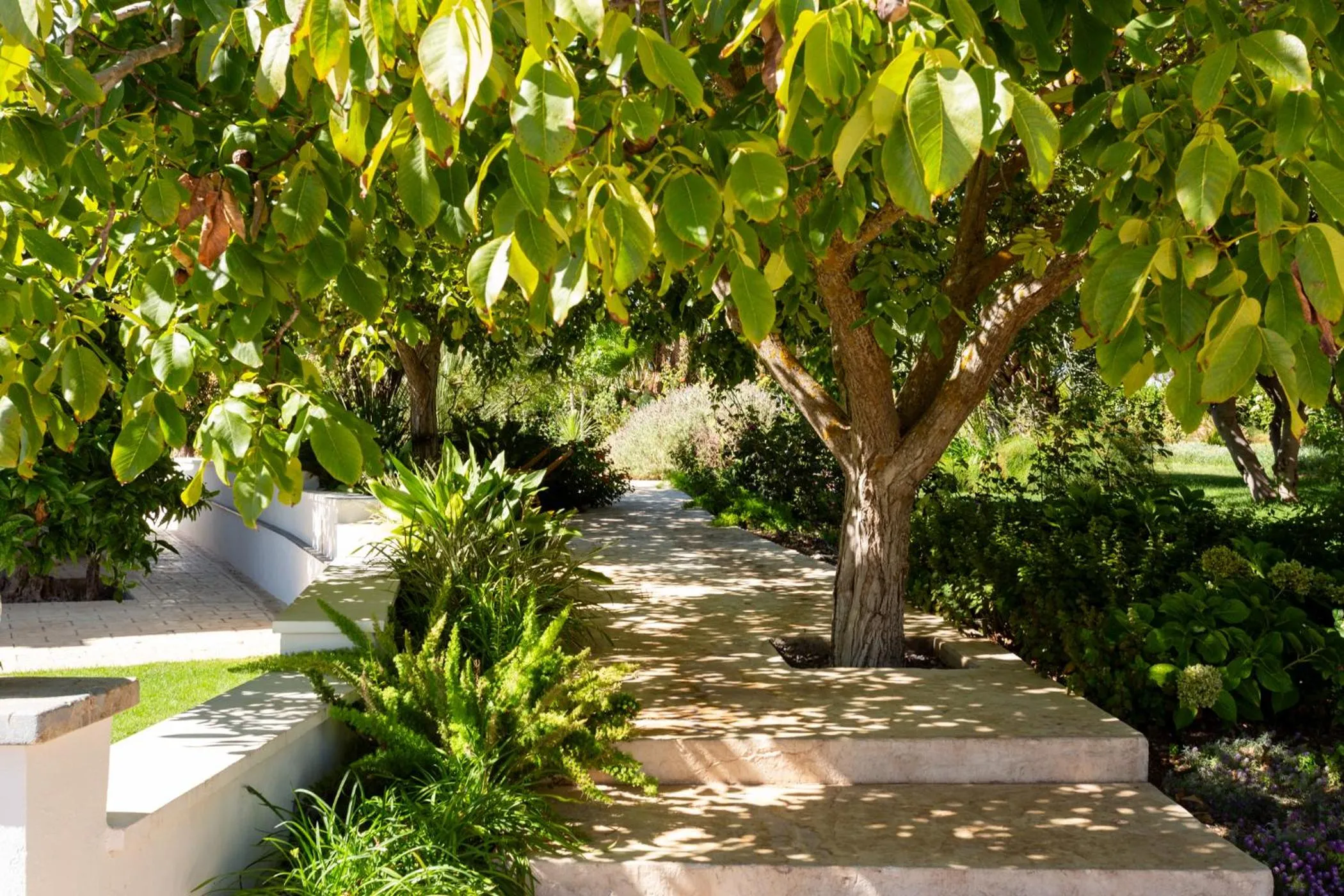 Garden in Oikos in Terre di Zaccanello