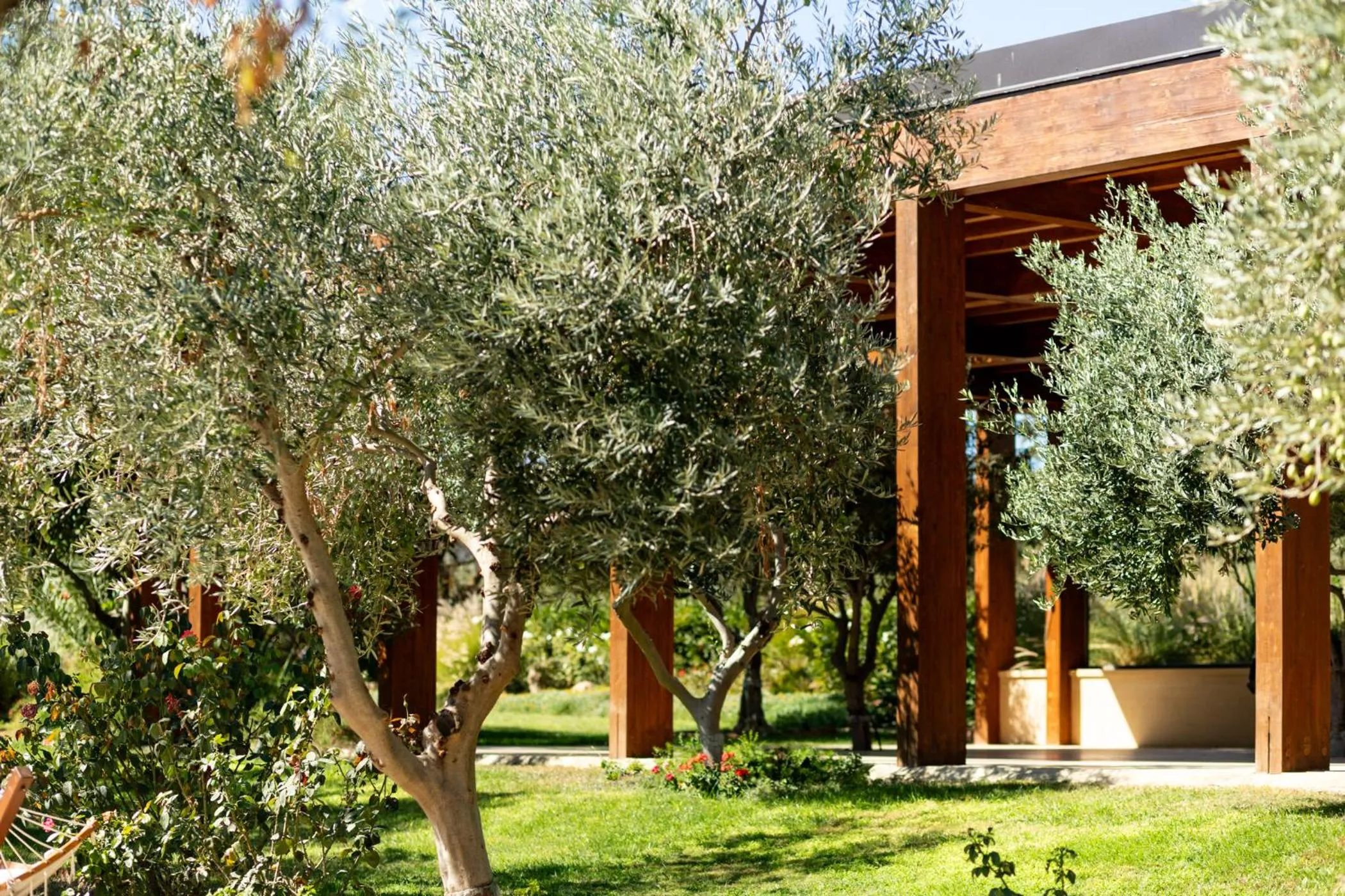 Property building in Oikos in Terre di Zaccanello