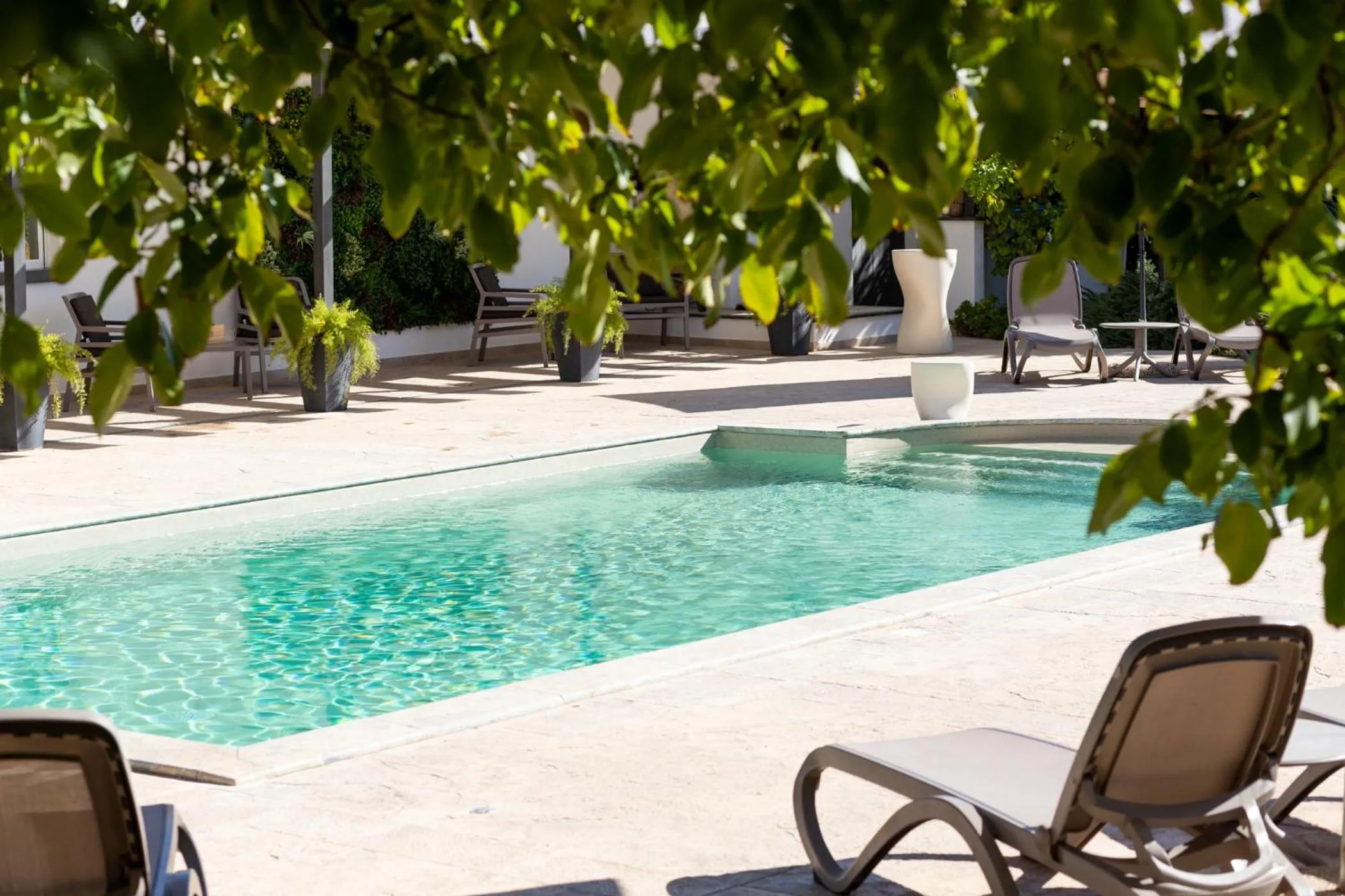 Swimming pool in Oikos in Terre di Zaccanello