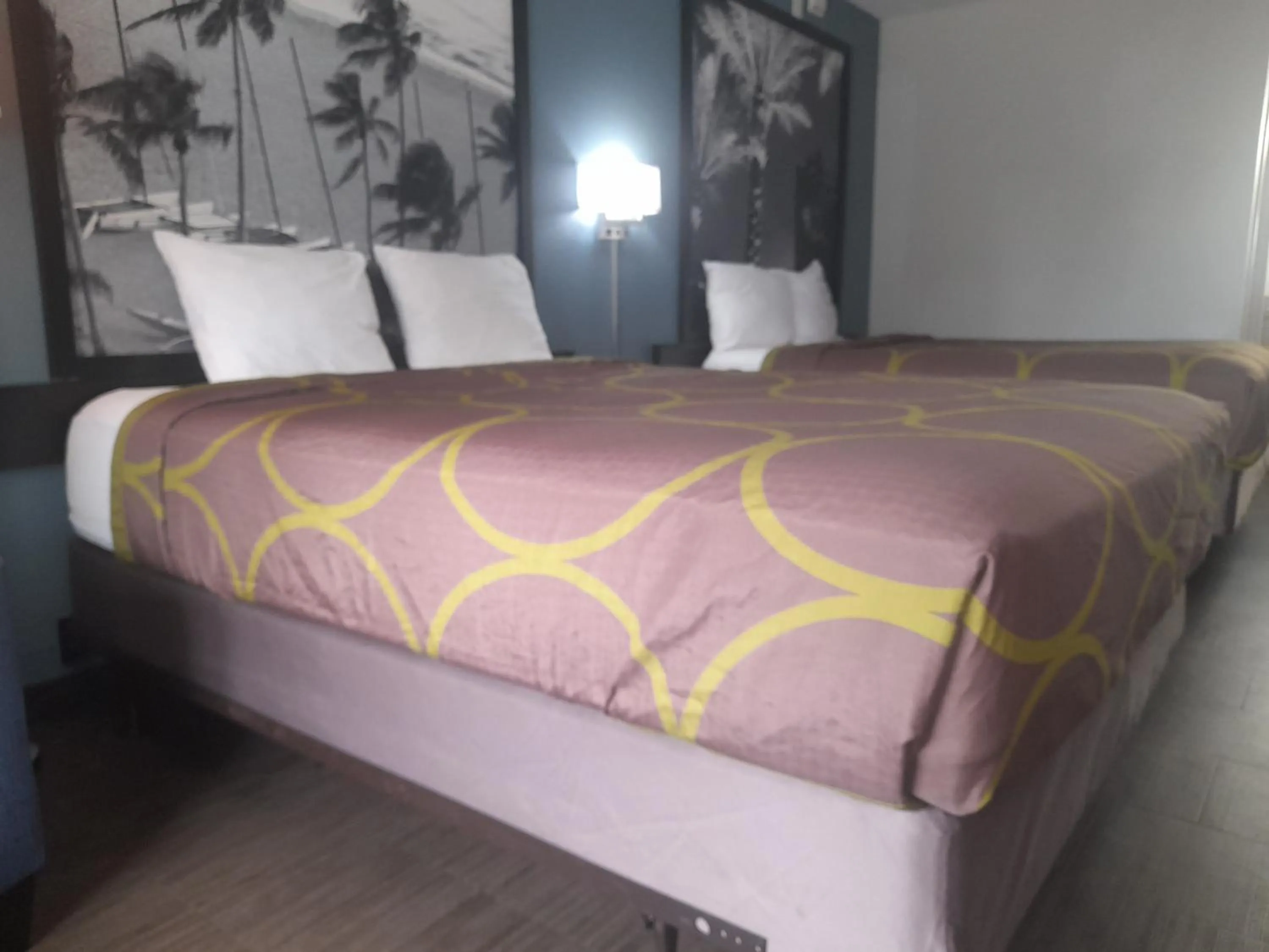 Bedroom, Bed in Super 8 Motel by Wyndham near Fort Lauderdale Arpt