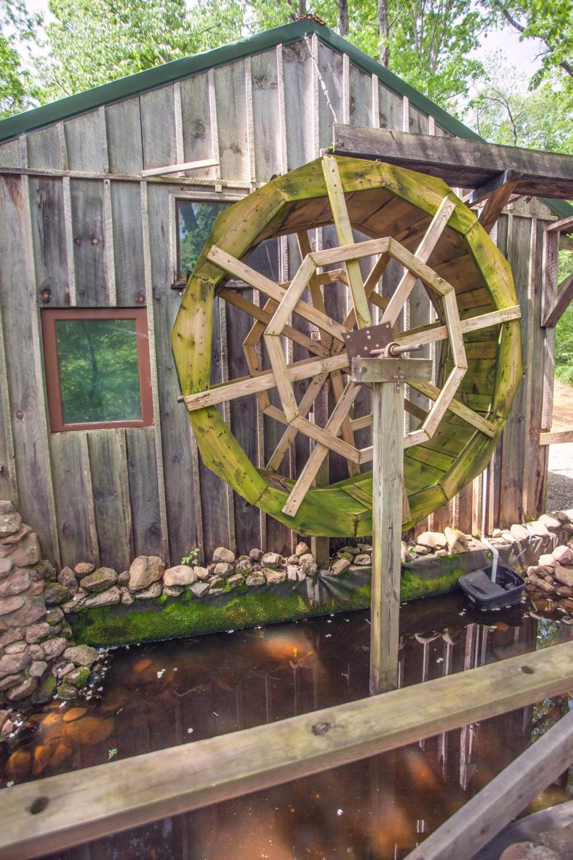 Area and facilities in Nolichuckey Bluffs Bed & Breakfast Cabins