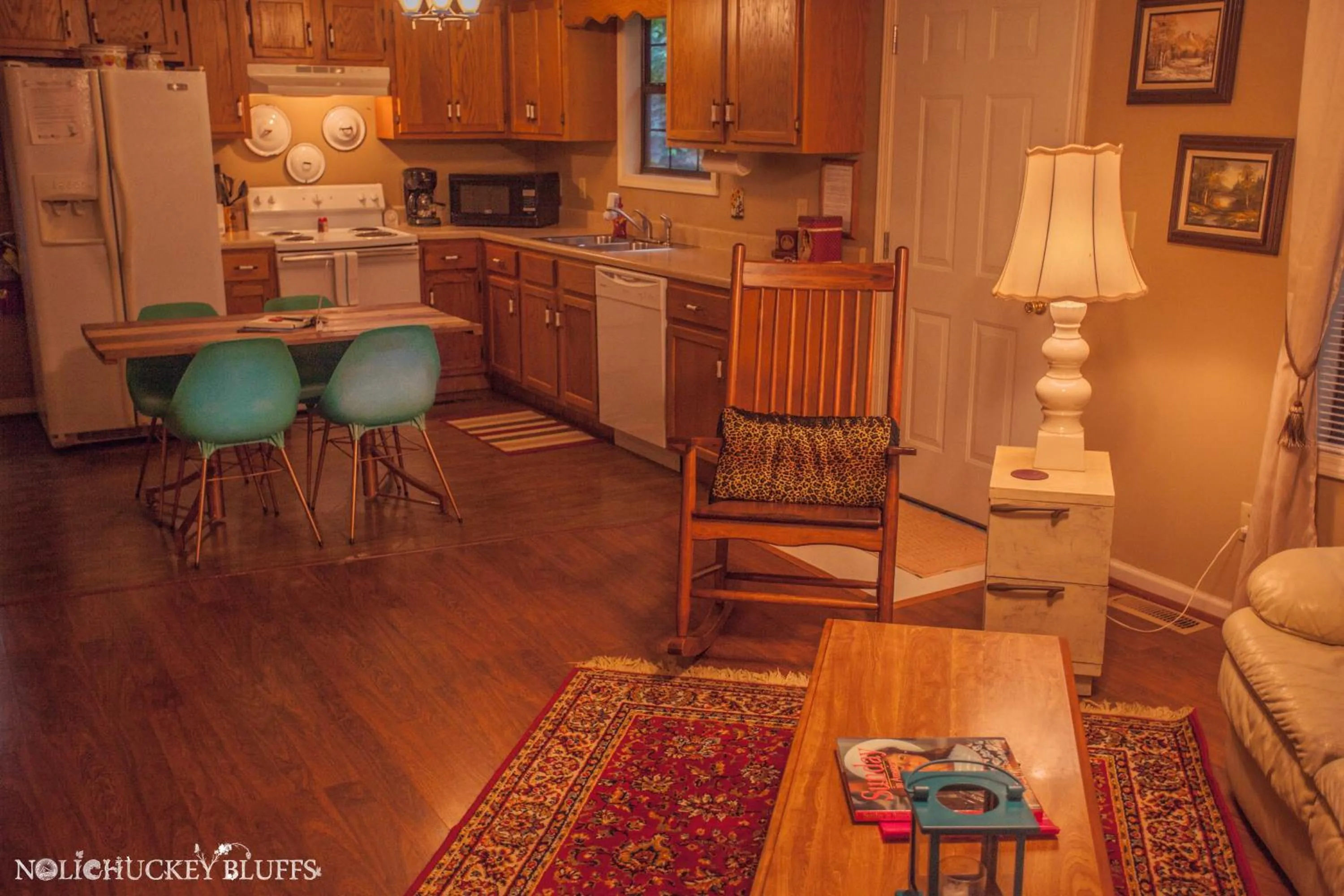 Kitchen or kitchenette in Nolichuckey Bluffs Bed & Breakfast Cabins