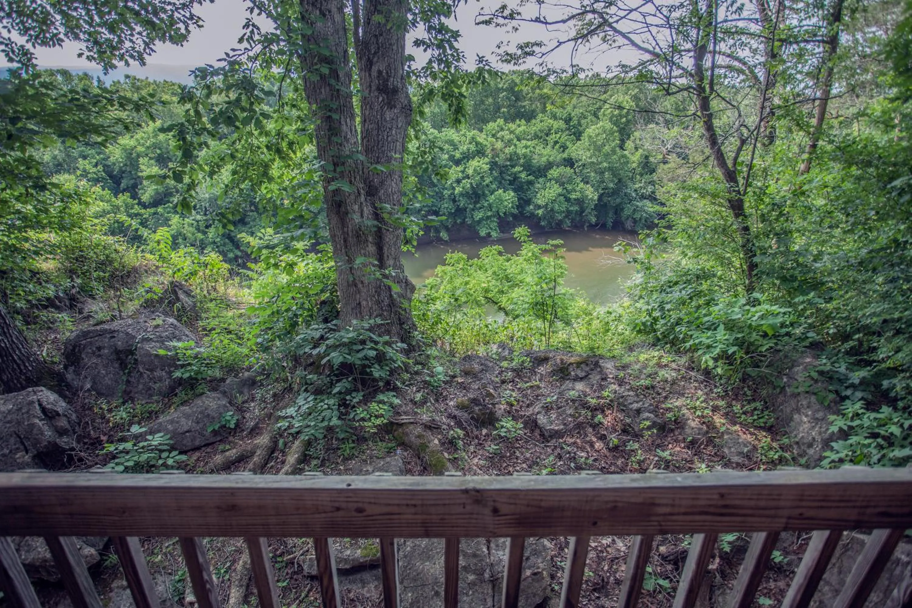 View (from property/room) in Nolichuckey Bluffs Bed & Breakfast Cabins