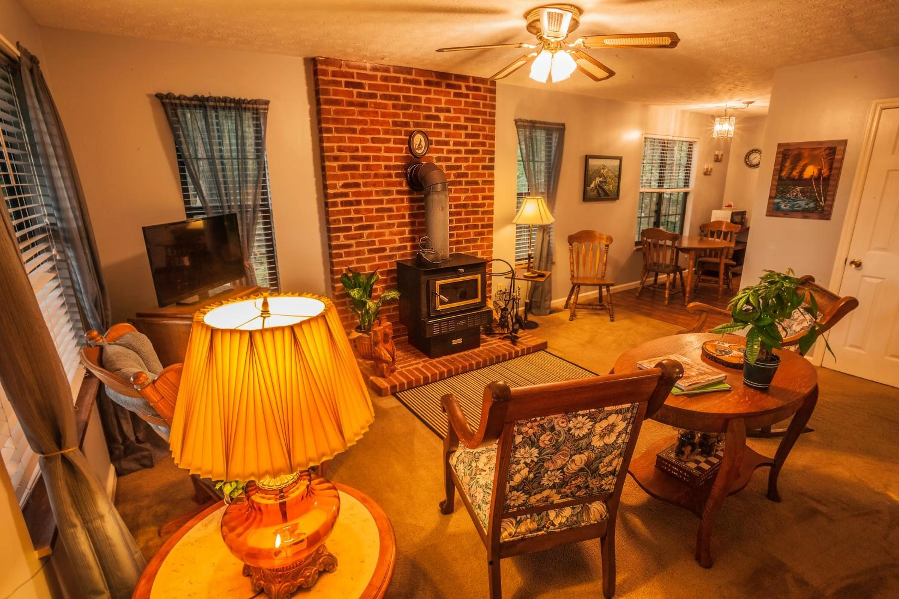 TV and multimedia in Nolichuckey Bluffs Bed & Breakfast Cabins