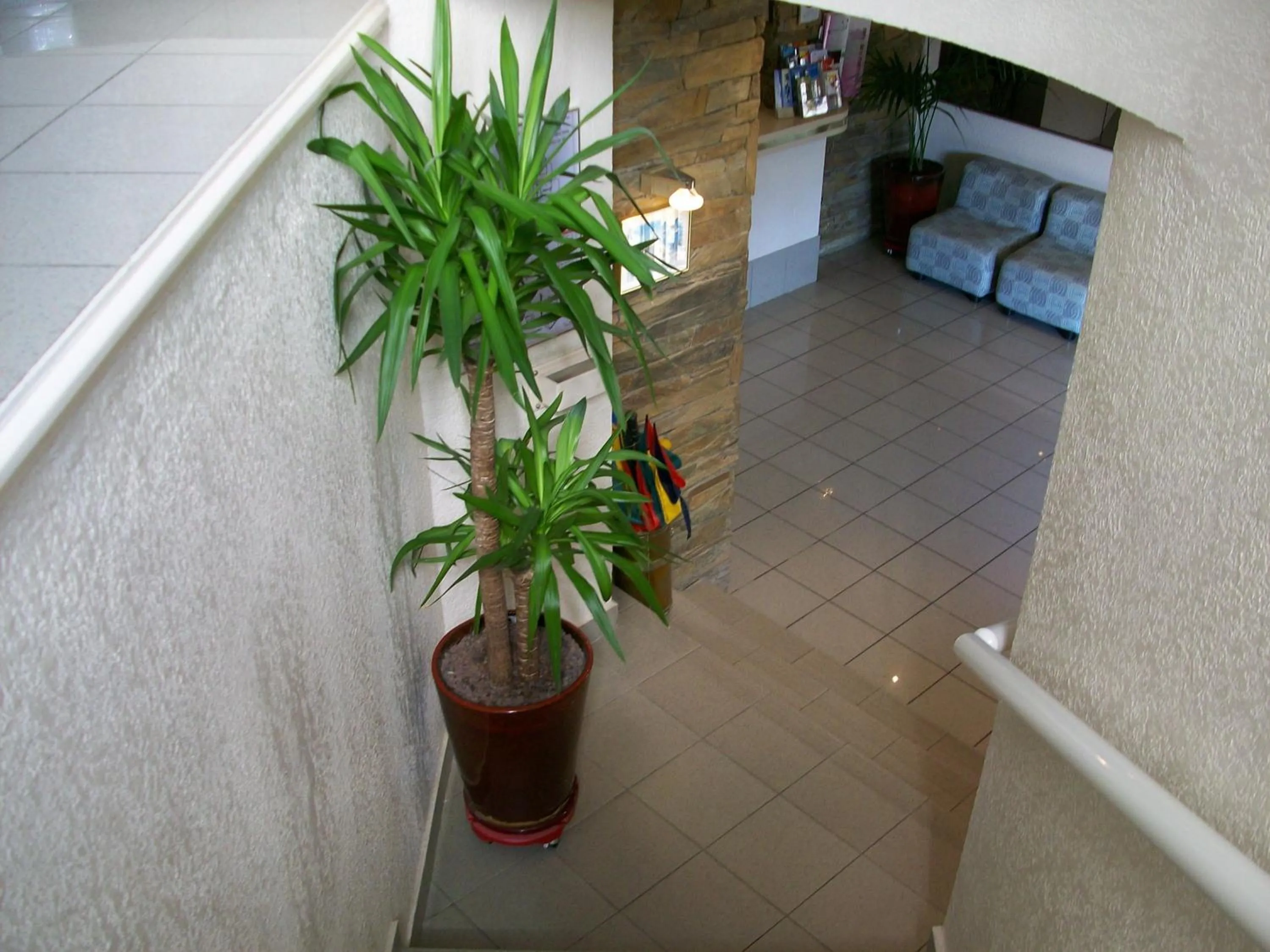 Other, Bed in Plage des Pins