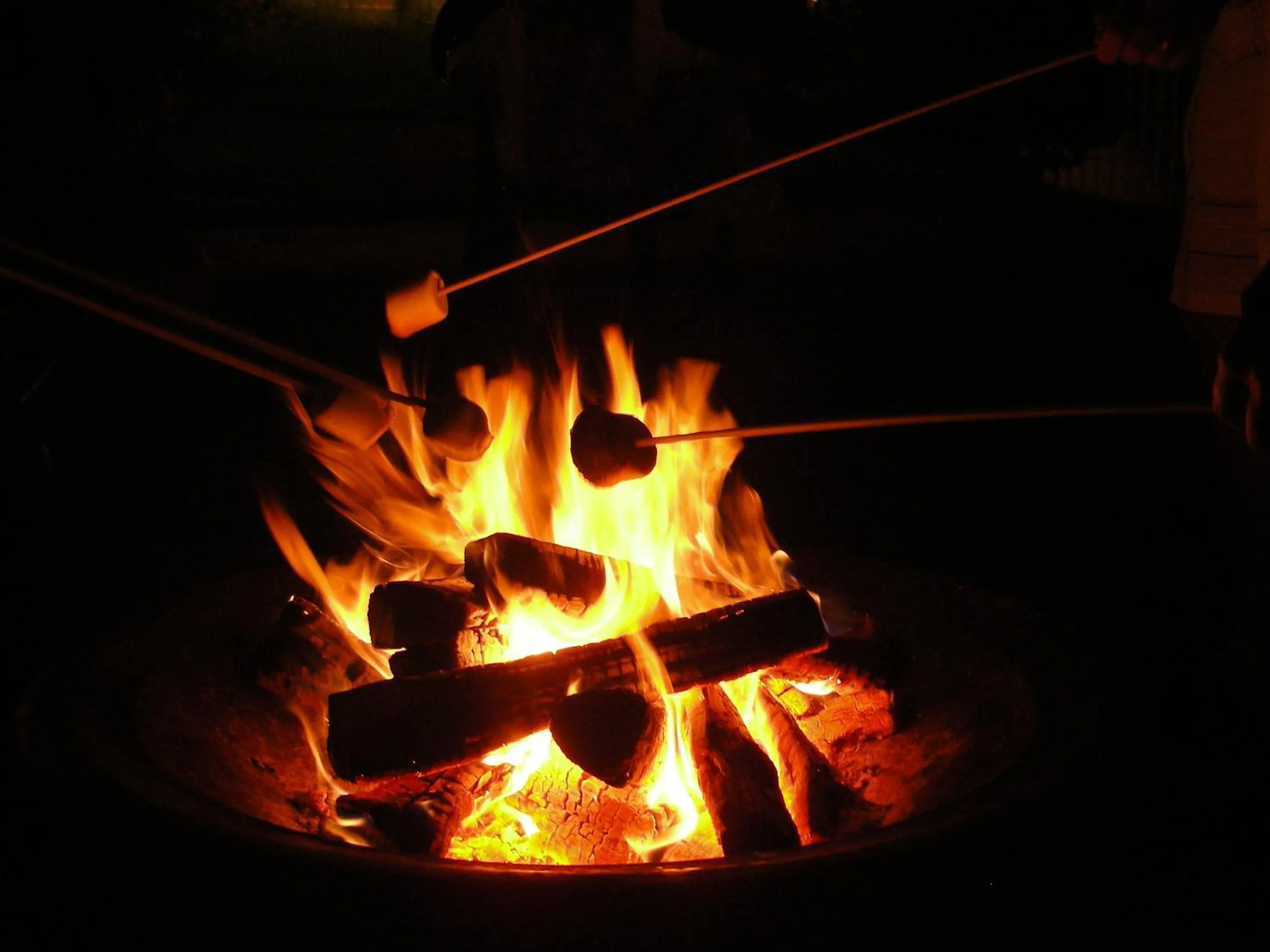 Decorative detail in The Heritage of Lake George