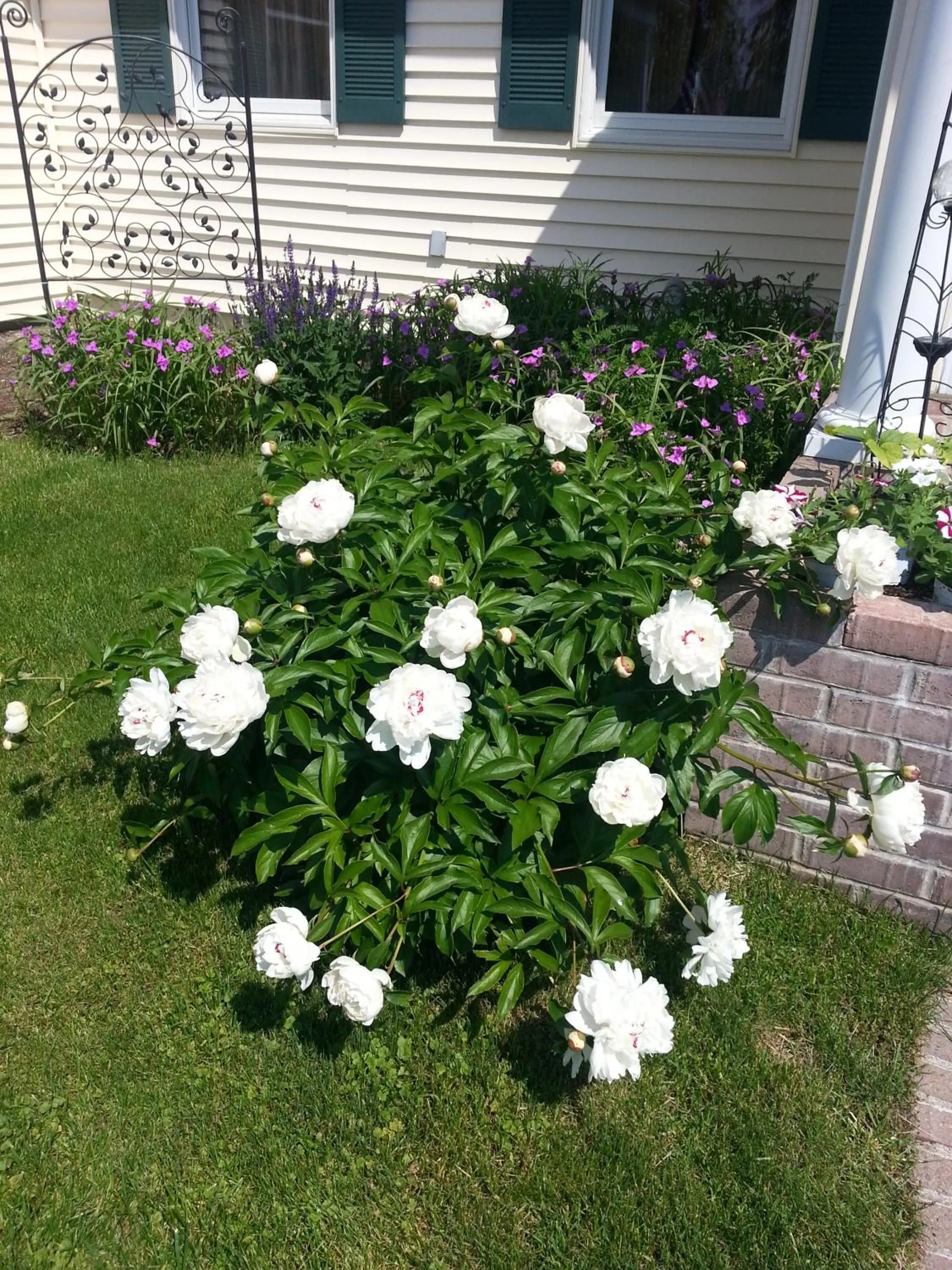 Garden in The Heritage of Lake George